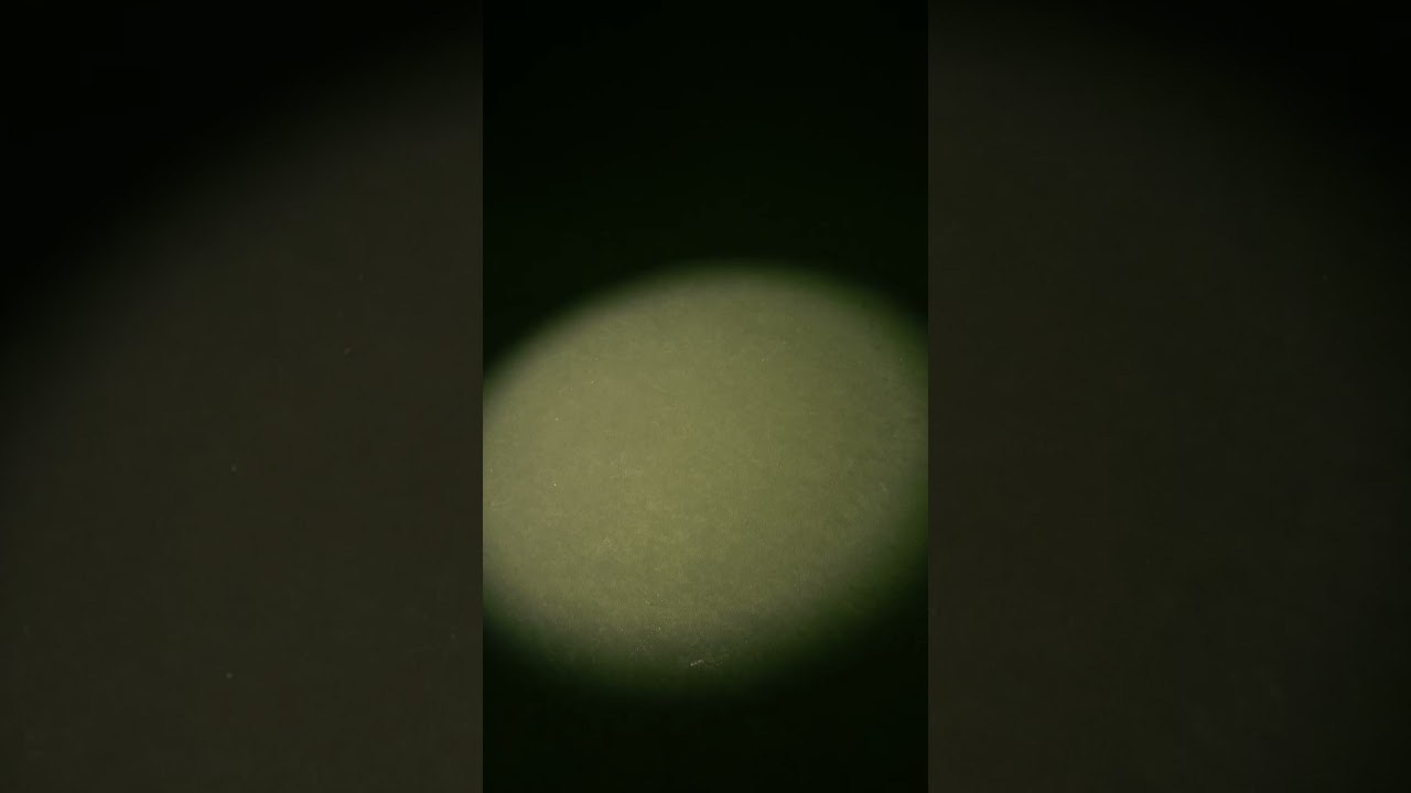 2025 წელს, ფუჯის პირველი ღონისძიება ექნება. @Gio.Fujifilm ოფიციალური აბასადორი, X-ფოტოგრაფი