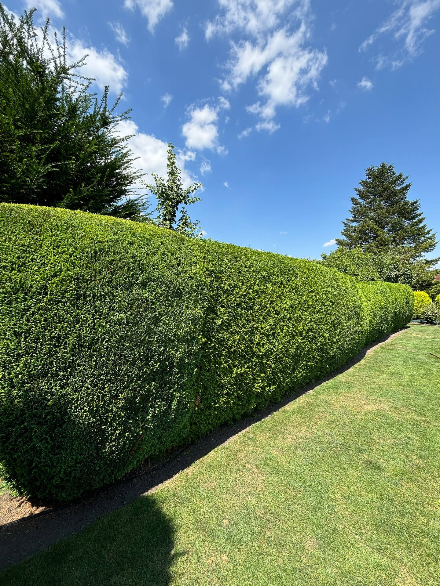 Gulda Gärtnerei - Gartenservice in Hamm, Soest, Beckum und Umgebung
