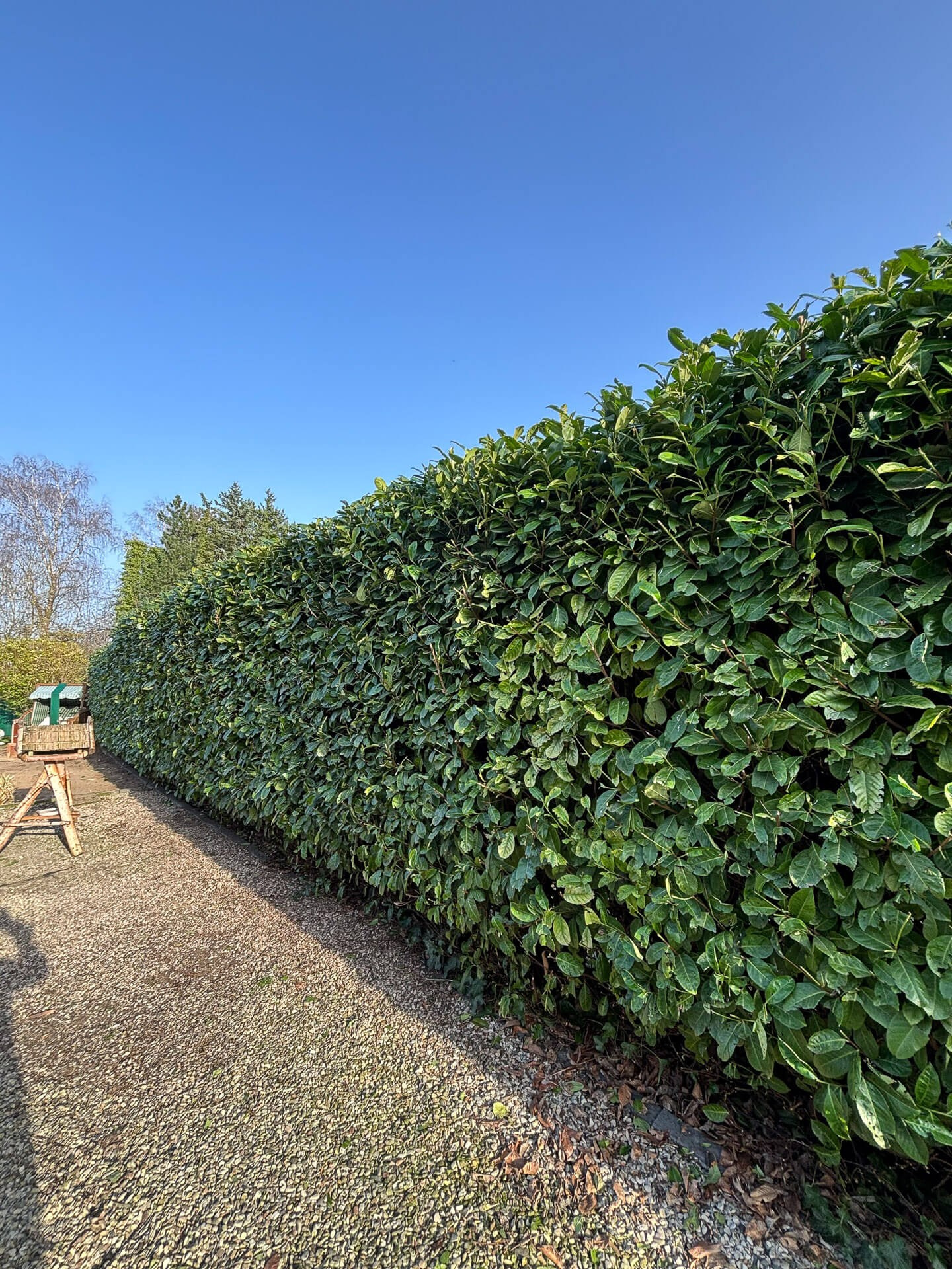 Gulda Gärtnerei - Gartenservice in Hamm, Soest, Beckum und Umgebung