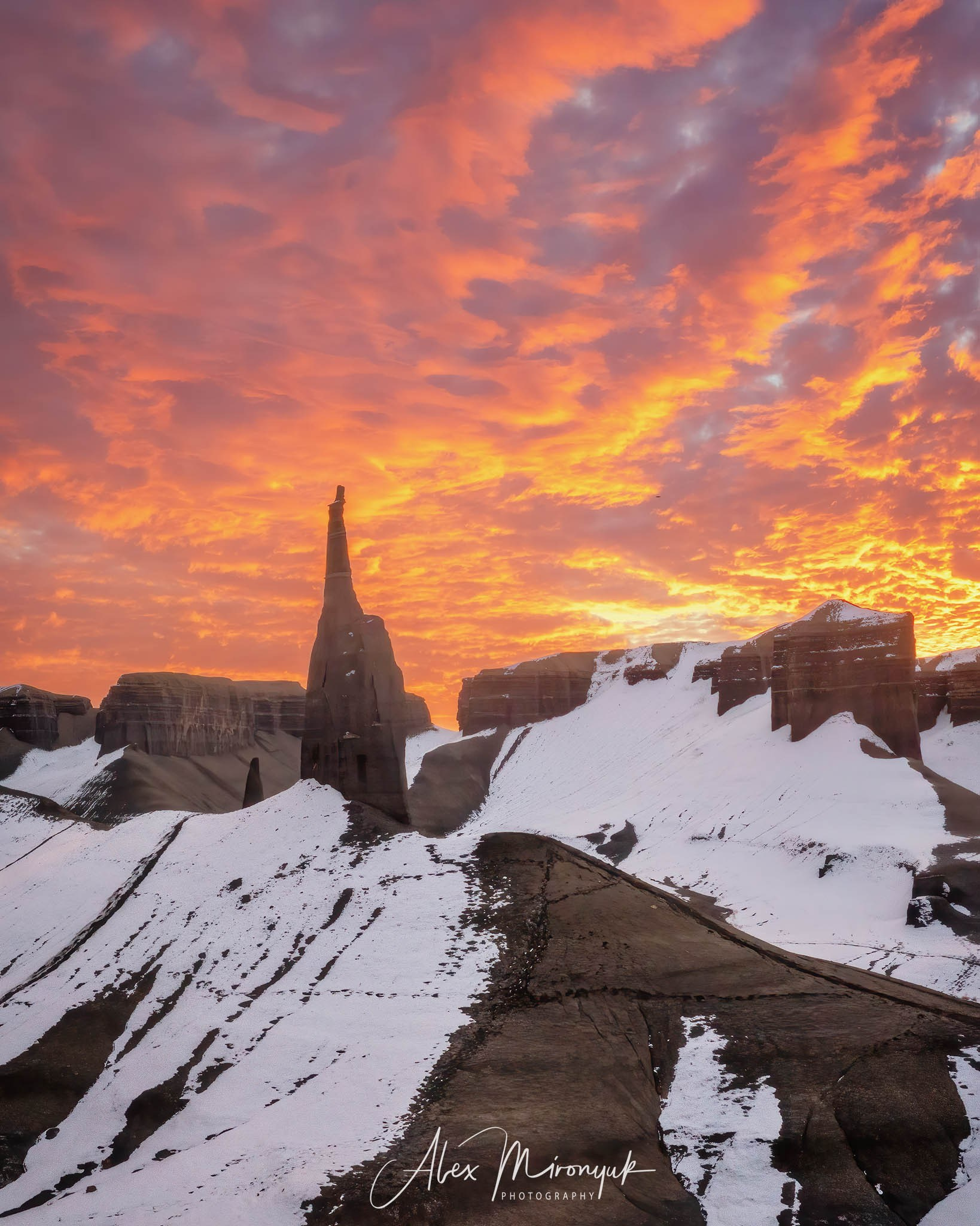 Eagle’s View: The American Southwest. Pet, Senior, Landscape, portrait studio, photographer in Miami and Sou