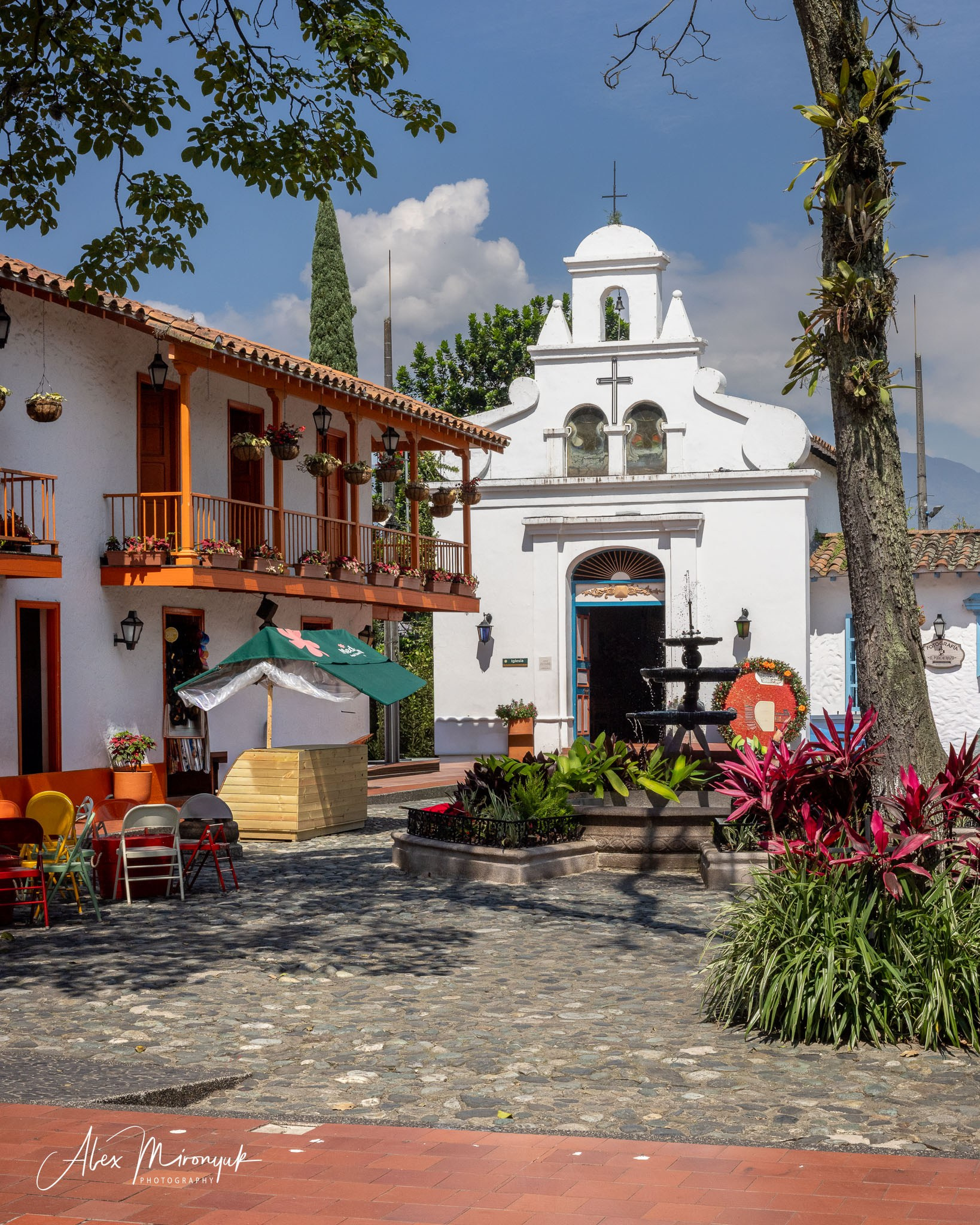 Colombia in Style. Pet, Senior, Landscape, portrait studio, photographer in Miami and Sou