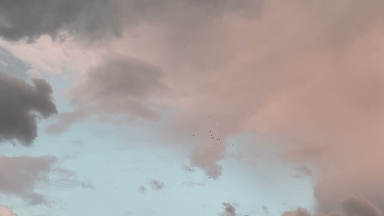 Фонари. Ekaterina Verbitskaya. Photography