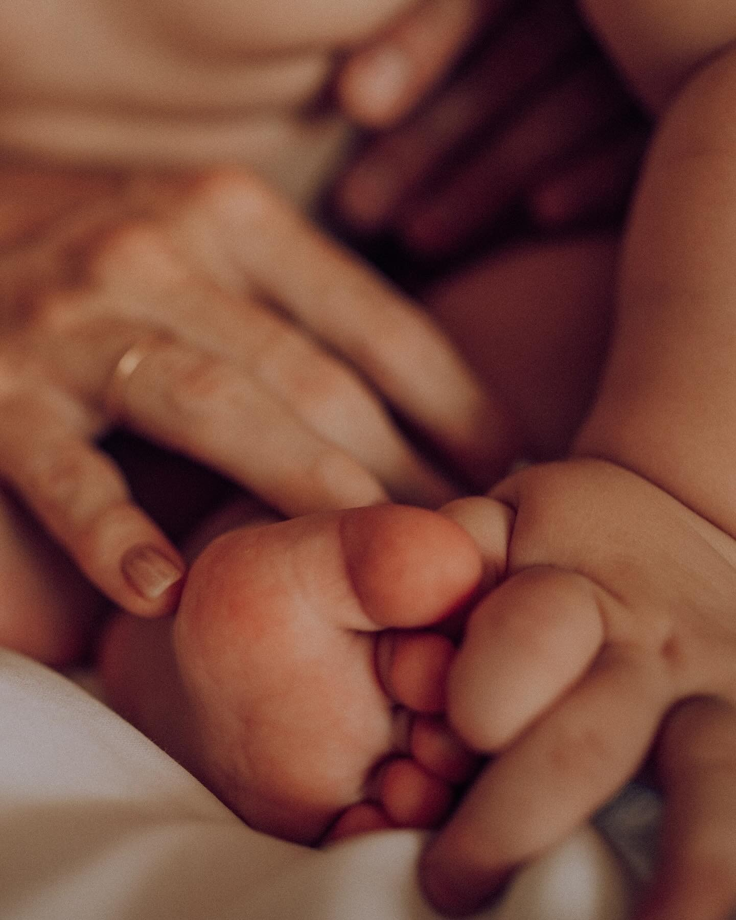 L&V&L. Семейный фотограф. Сербия. Нови-Сад. Белград