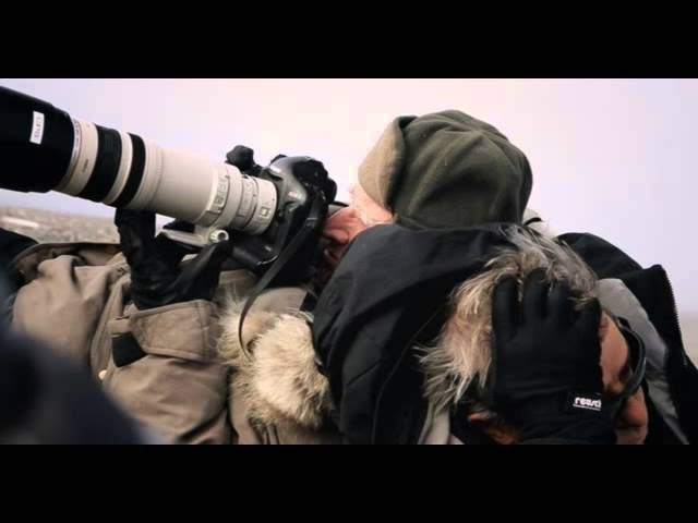 Киносеанс в Школе Фотографии Романа Рыбалёва. Школа Фотографии Романа Рыбалёва. Город Кишинёв, Молдова