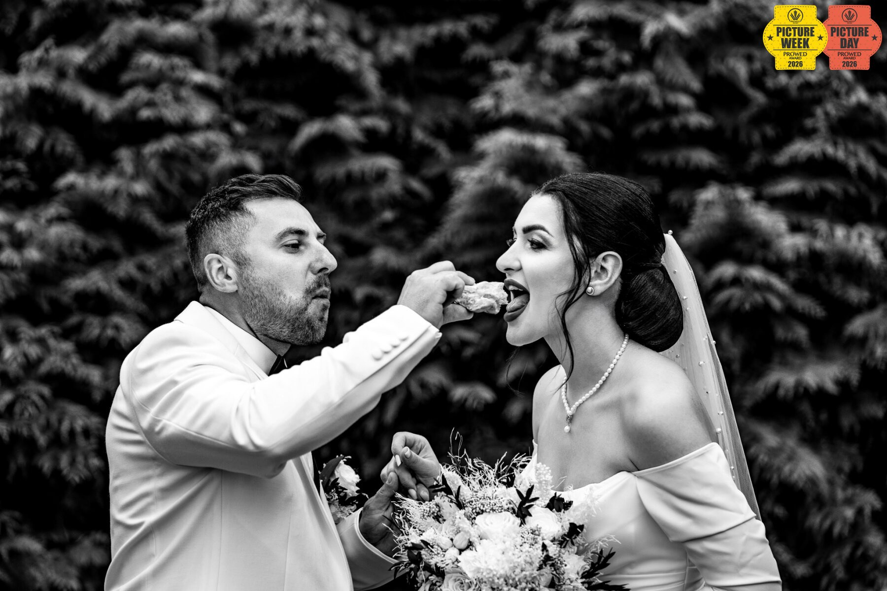 Iulian Arsinte - Fotograf de Nunta - Neamt, Bacau, Suceava, Iasi