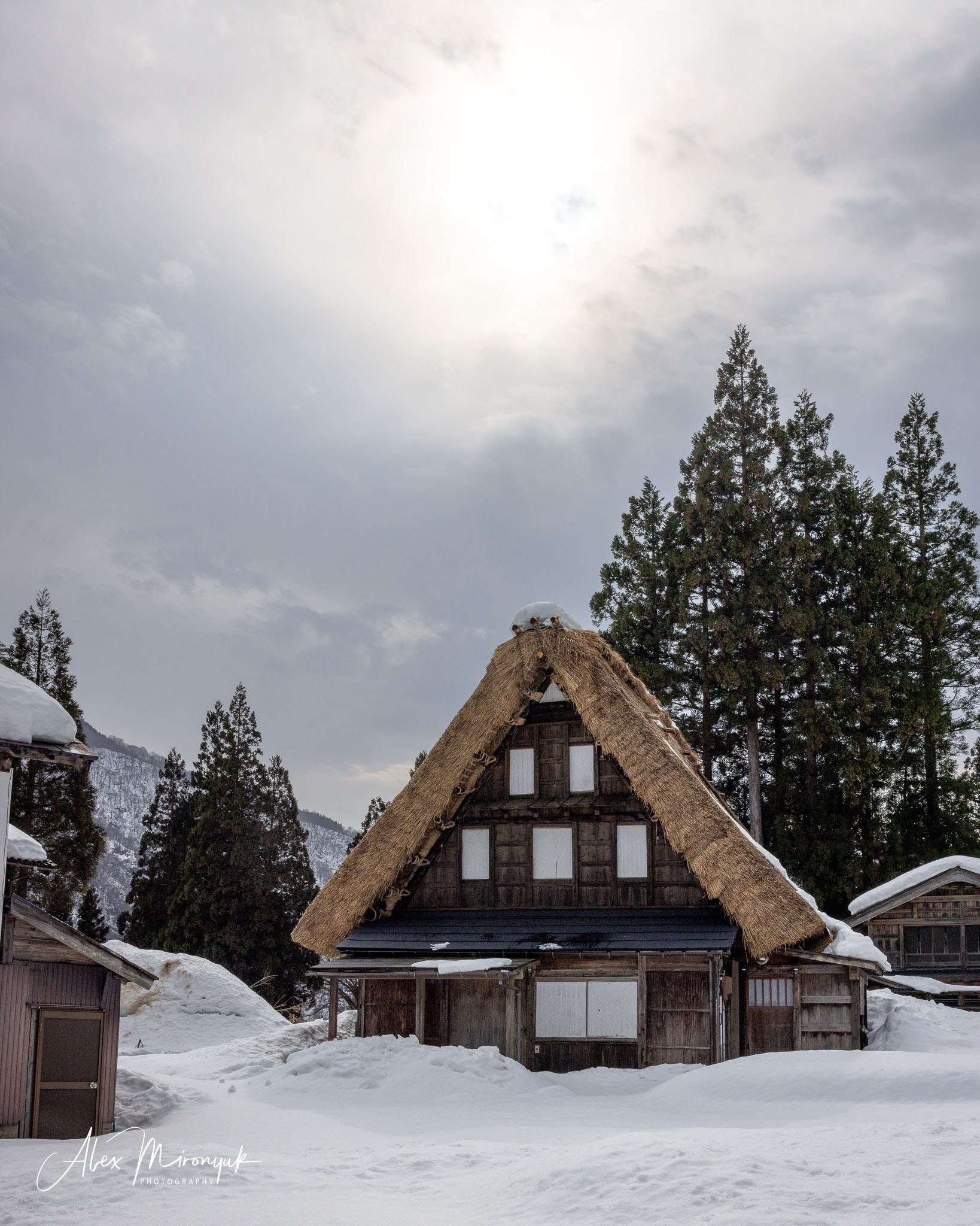 Winter Japan: Snow Monkeys, Castles & Timeless Villages. Pet, Senior, Landscape, portrait studio, photographer in Miami and Sou