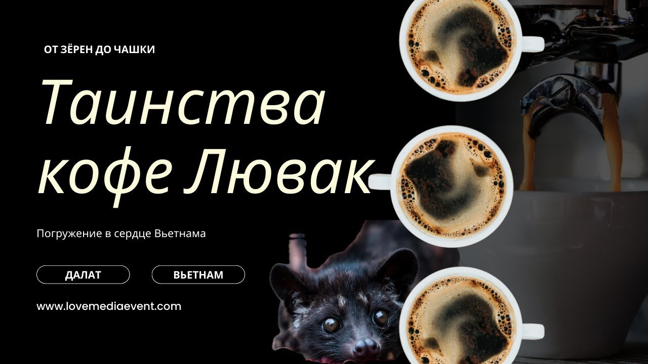 Видеограф на Пхукете