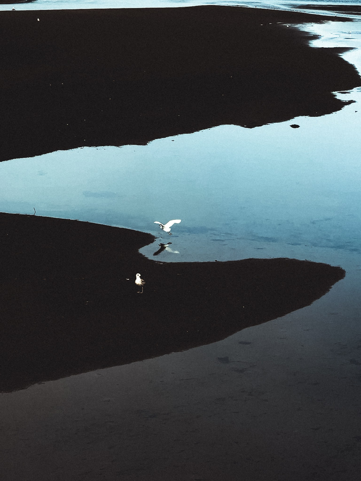 The Way. Alina Romanova | Creative & Fashion Photographer Hamburg