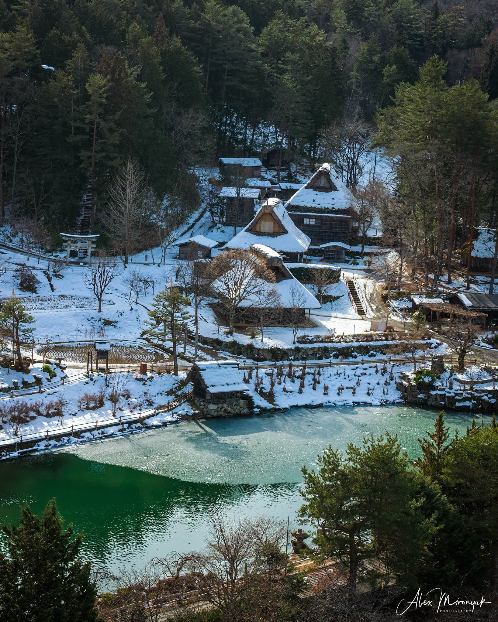 Winter Japan: Snow Monkeys, Castles & Timeless Villages. Pet, Senior, Landscape, portrait studio, photographer in Miami and Sou