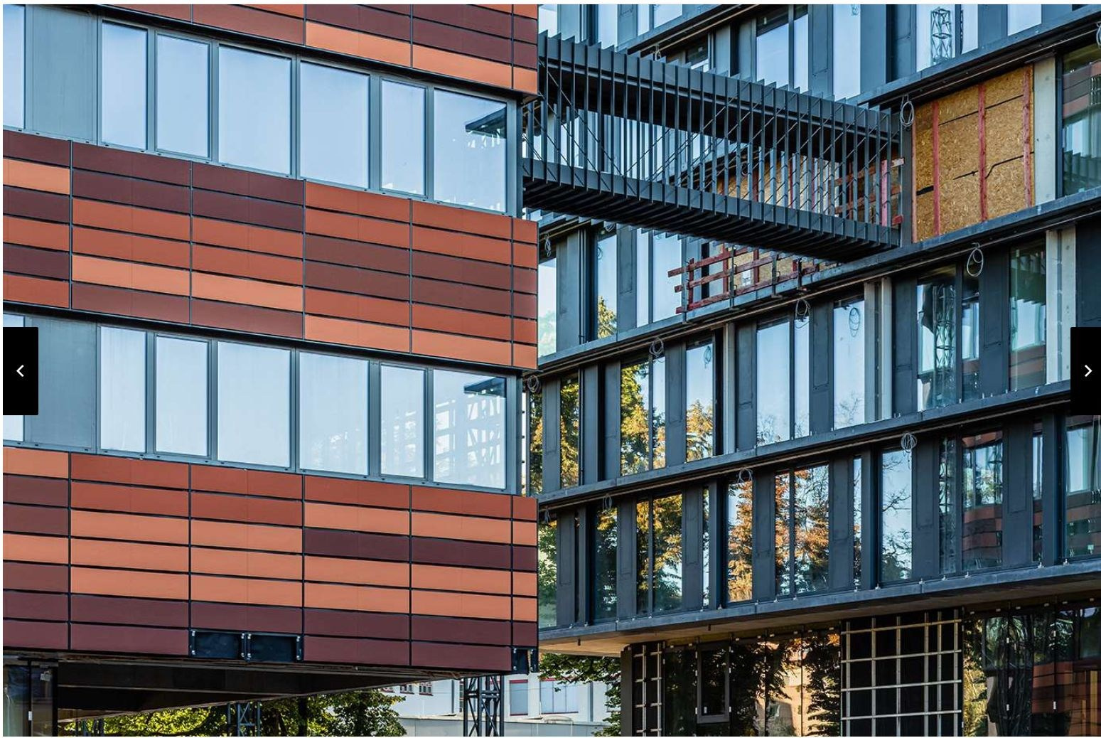 Projekty. Vector design studio Czesław Zubelewicz