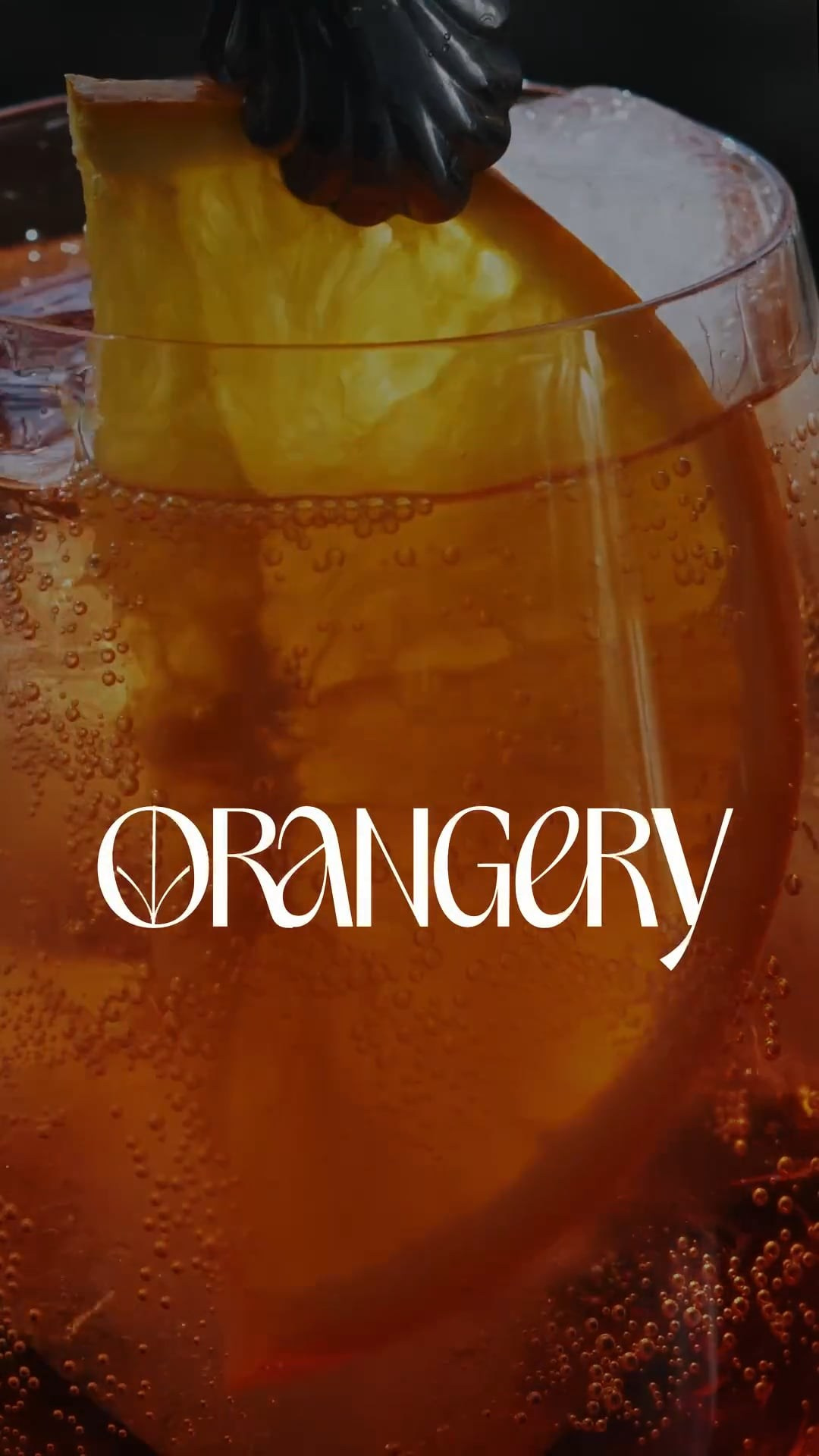 Food. Photographer and videographer for business in Tbilisi Catrine Poznyak