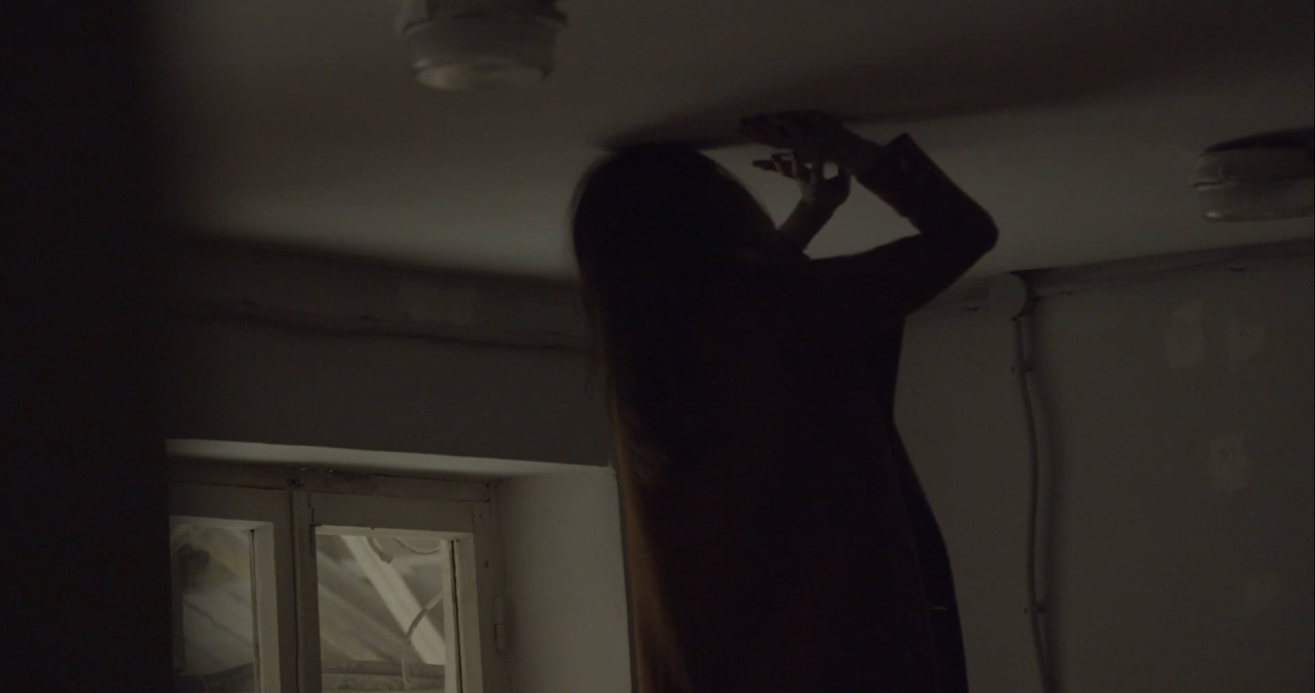 Video. SASHA FREEMIND