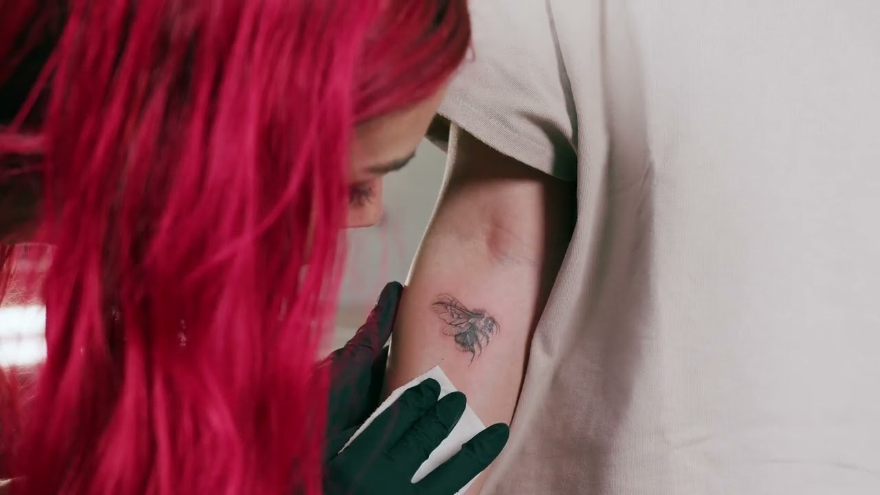 PIRANHA SUPPLIES. ESTUDIO DOZE