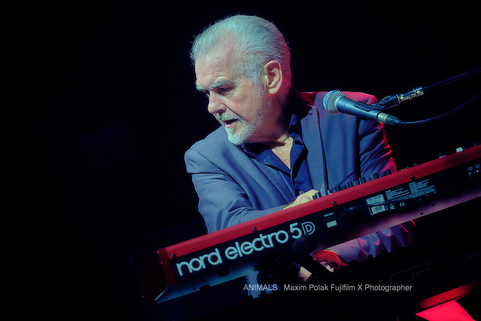 ANIMALS. WORLD TOUR. Middle East Photo Agency — Свадьбы, Бар и Бат-мицва, Брит, Театр, Магниты, Портреты