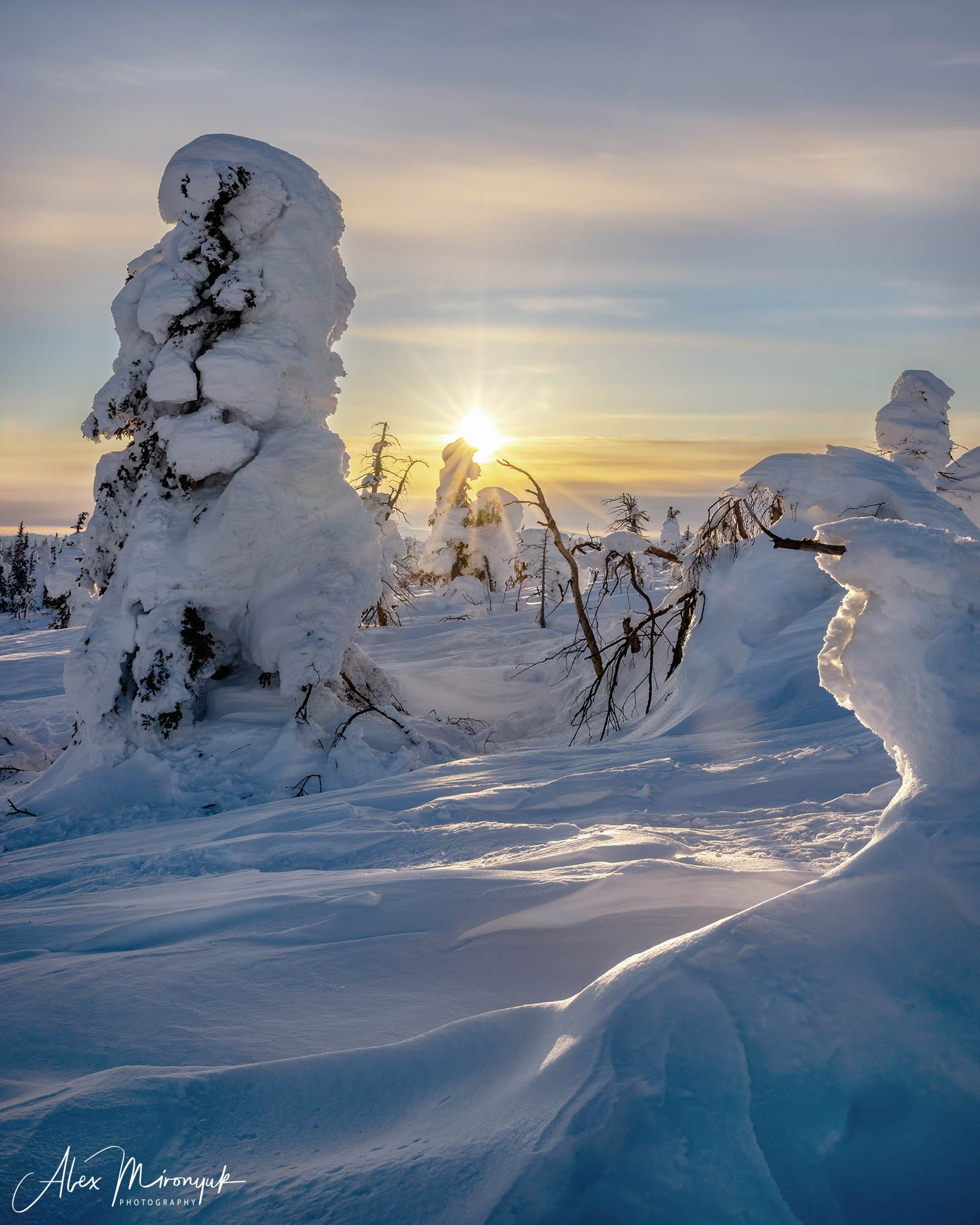 Chasing the Aurora Borealis. Pet, Senior, Landscape, portrait studio, photographer in Miami and Sou