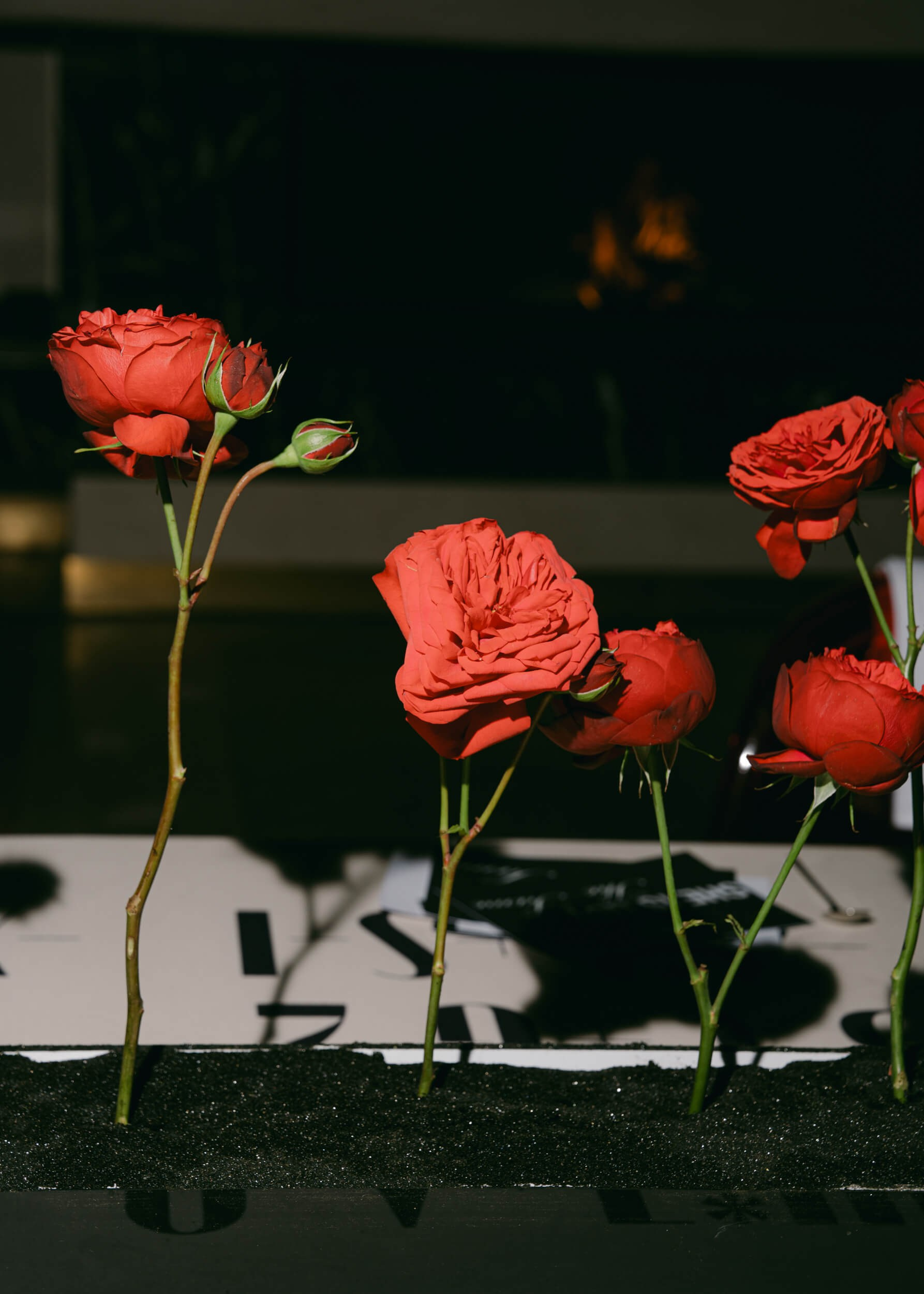 Professional event photographer: Conferences, trade fairs, corporate and private events. Inna Zaytseva Photography | Photographer in Munich | Content Creation