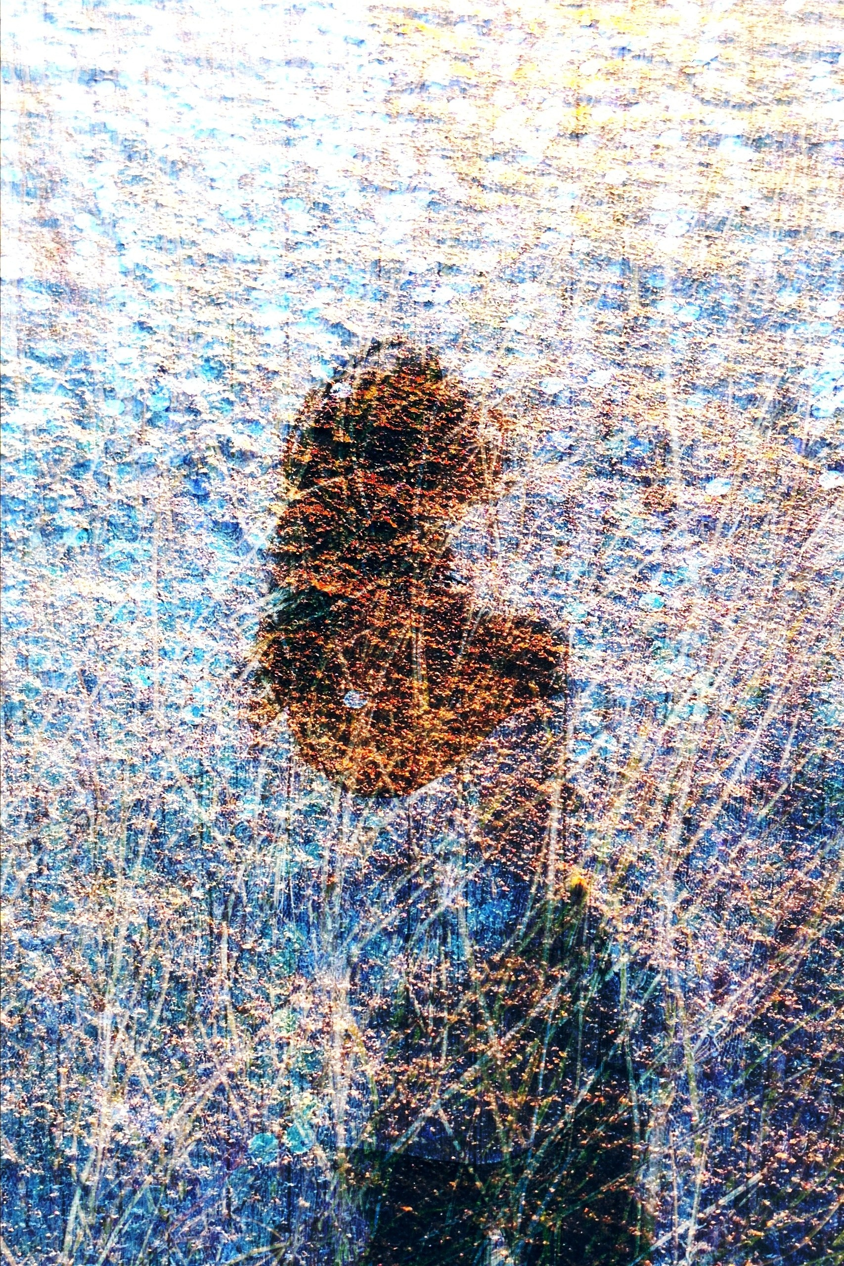 Limited Edition. Photographer artist Liashenko Oksana
