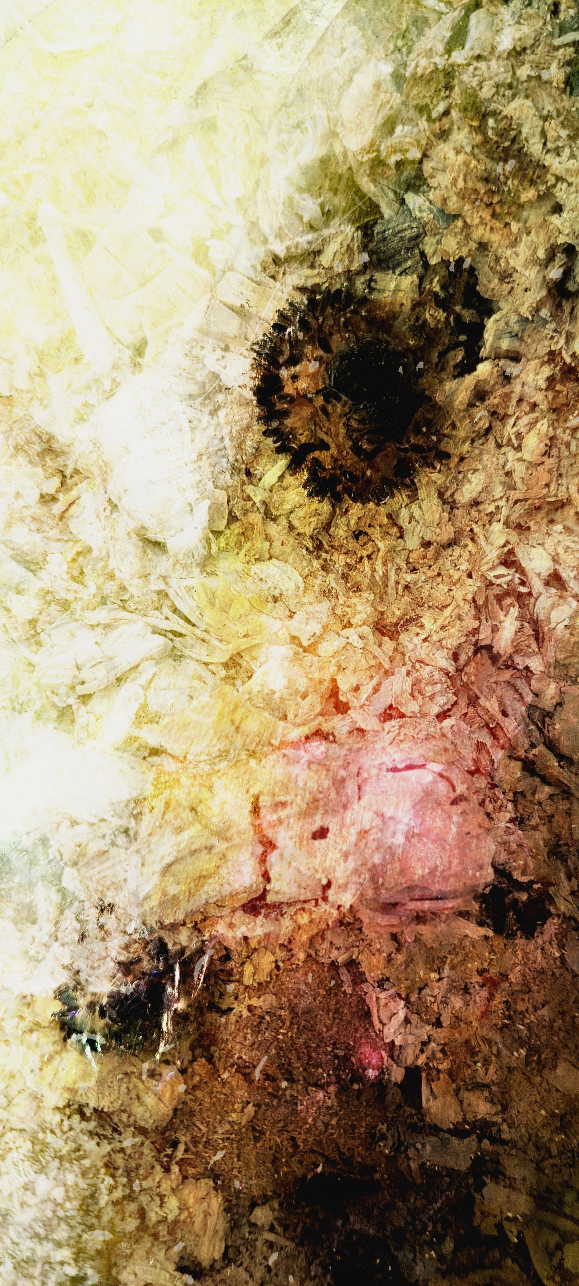 Limited Edition. Photographer artist Liashenko Oksana