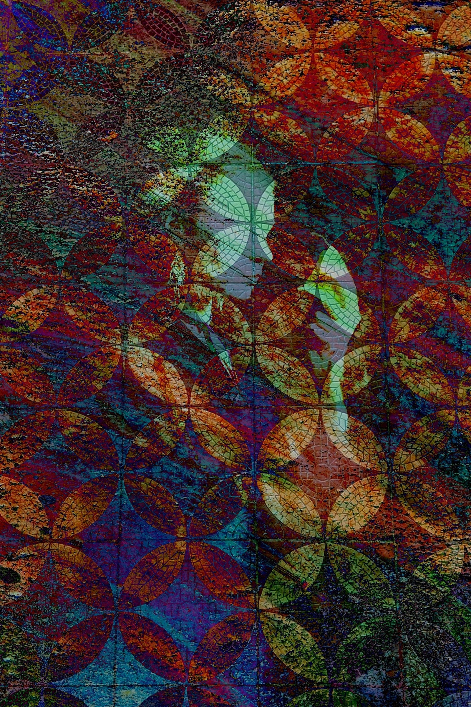 Limited Edition. Photographer artist Liashenko Oksana