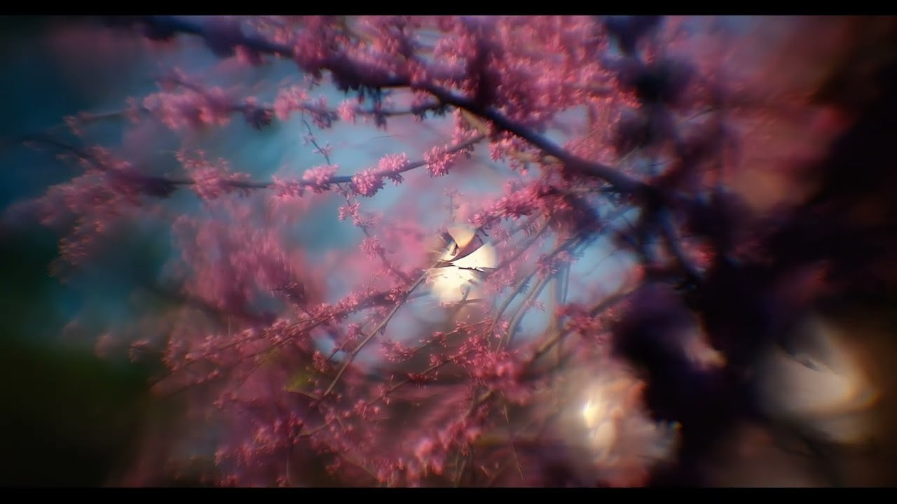 Kowa 95mm f1.4 + Fuji GFX 100s. Emin Kuliyev — Award-Winning Wedding Photojournalist NYC & USA | Best Wedding Photographer Known for Candid, Timeless Moments