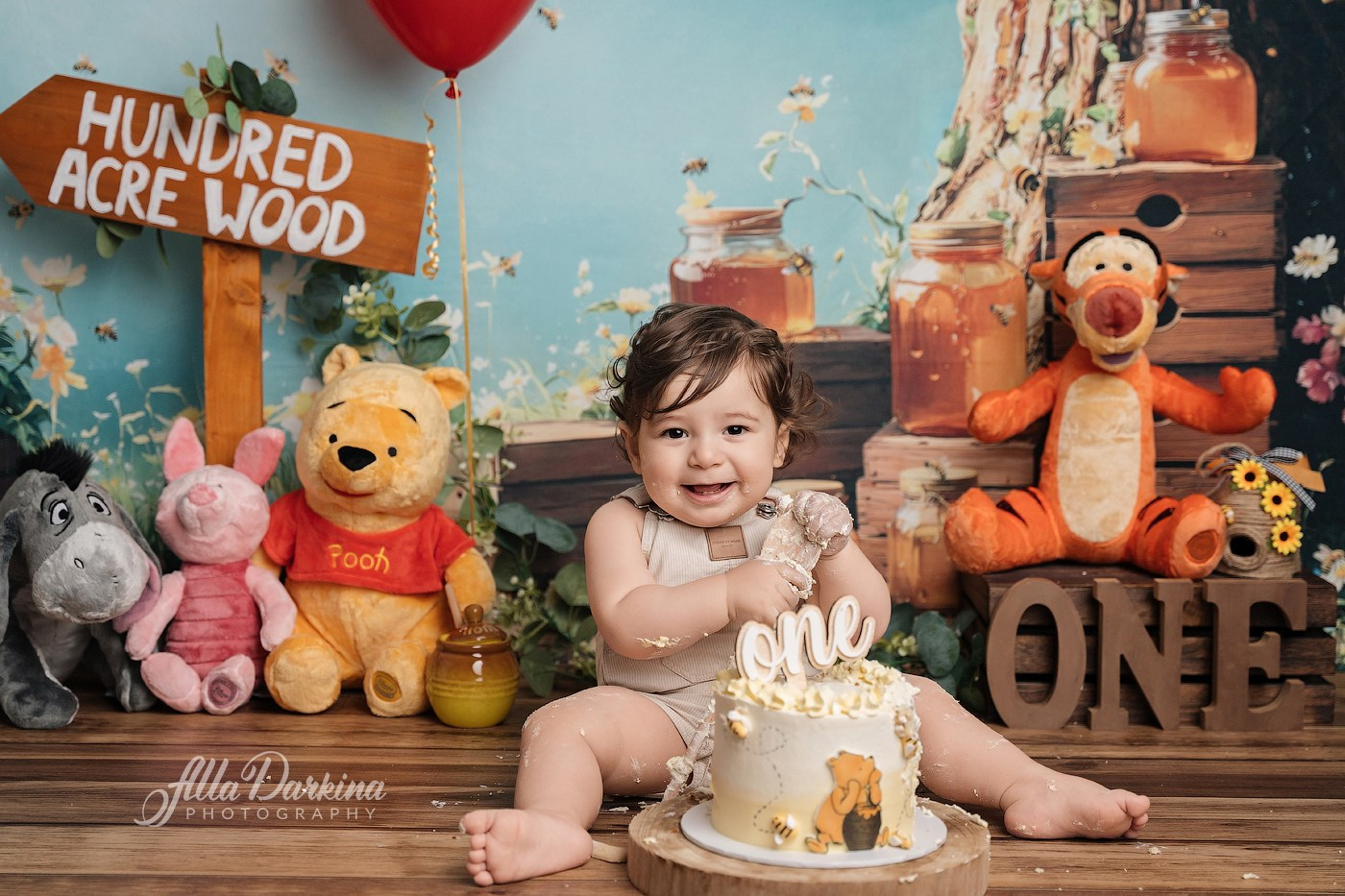 Arta’s “Winnie The Pooh” cake smash session
