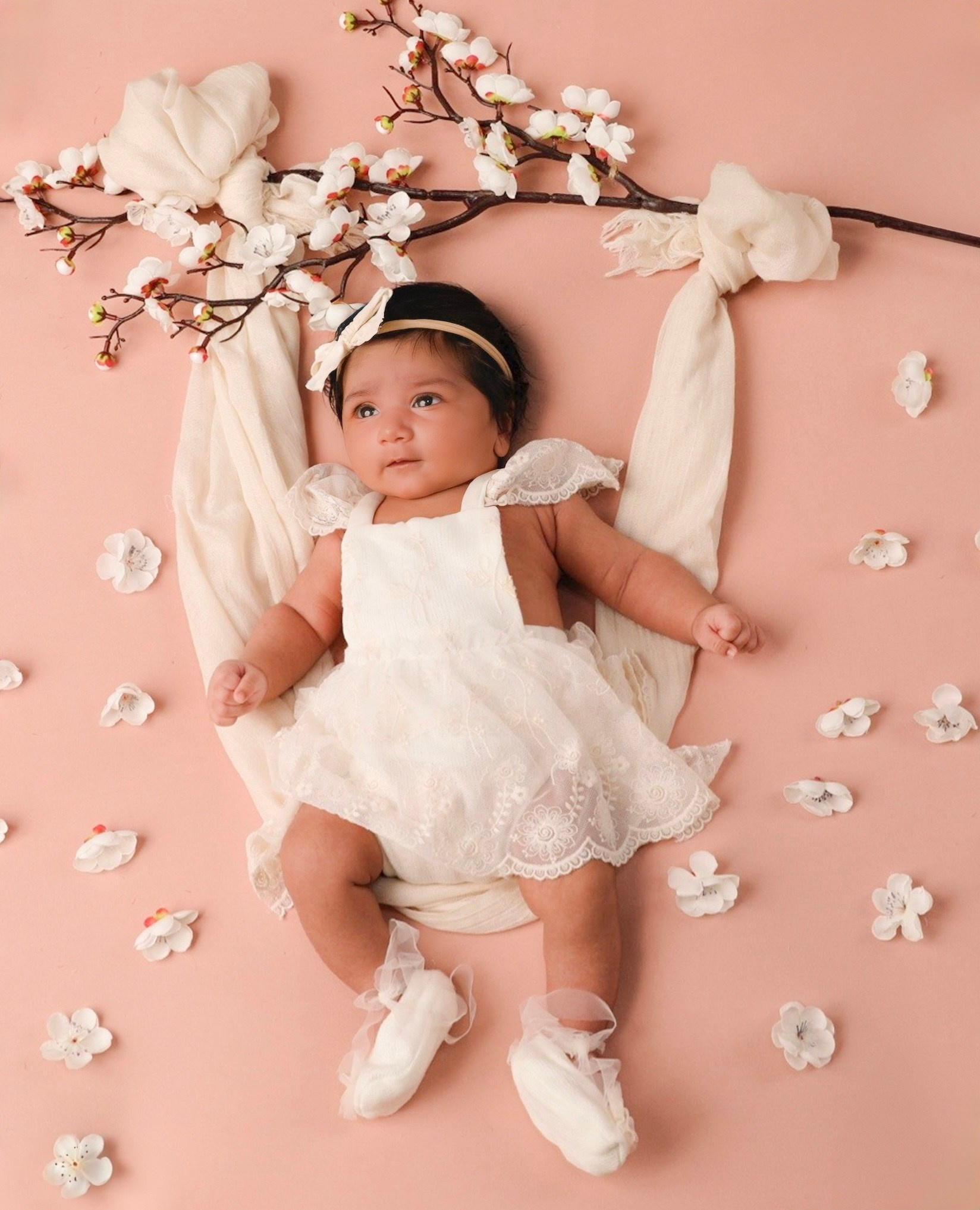 Pricing. AP Lens Photography | Newborn, Maternity, Milestone & Family Photographer Little Elm TX