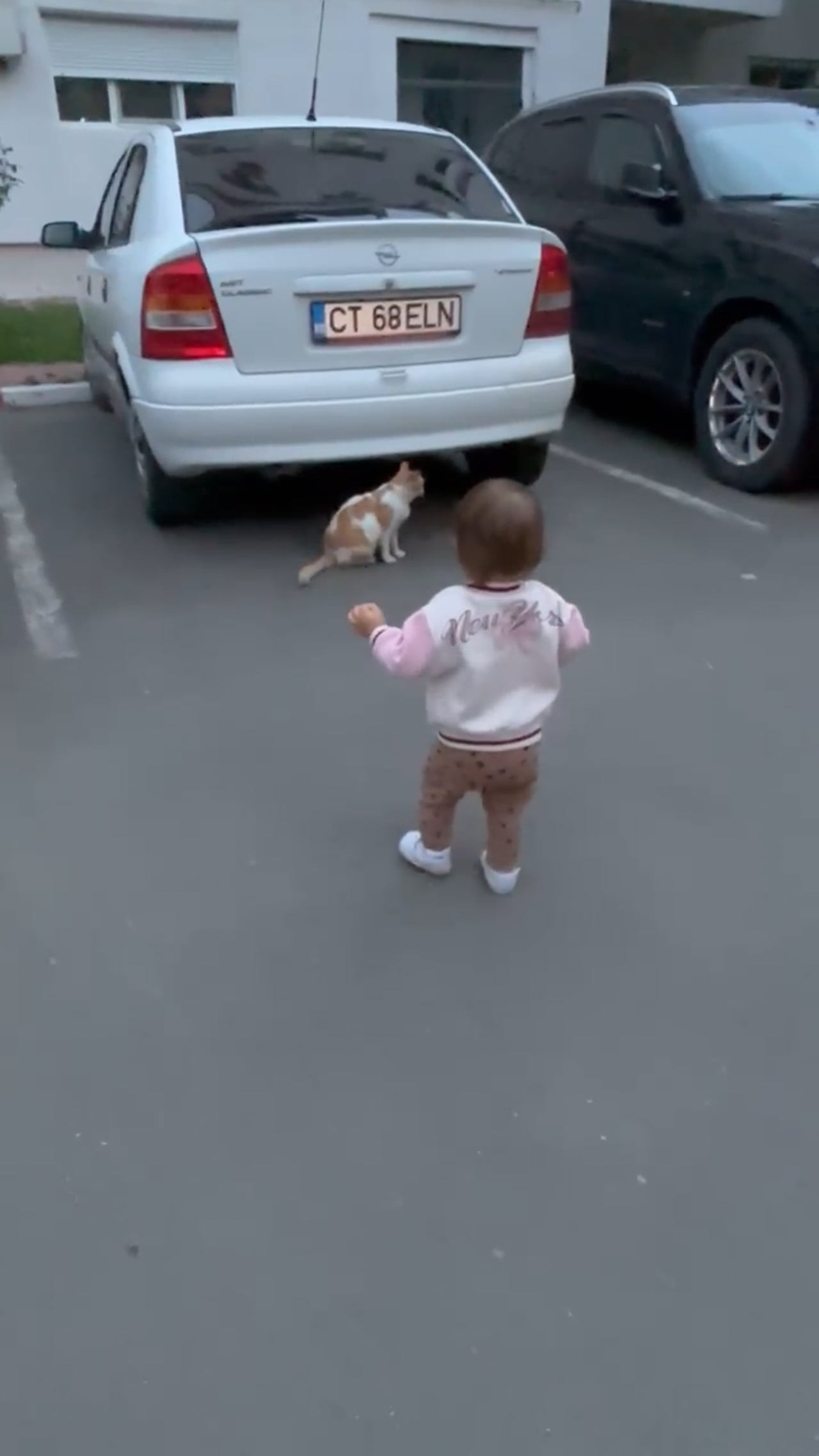 O lecție de viață în pași mici, dar curajoși…. Ionuț Preja Photographer