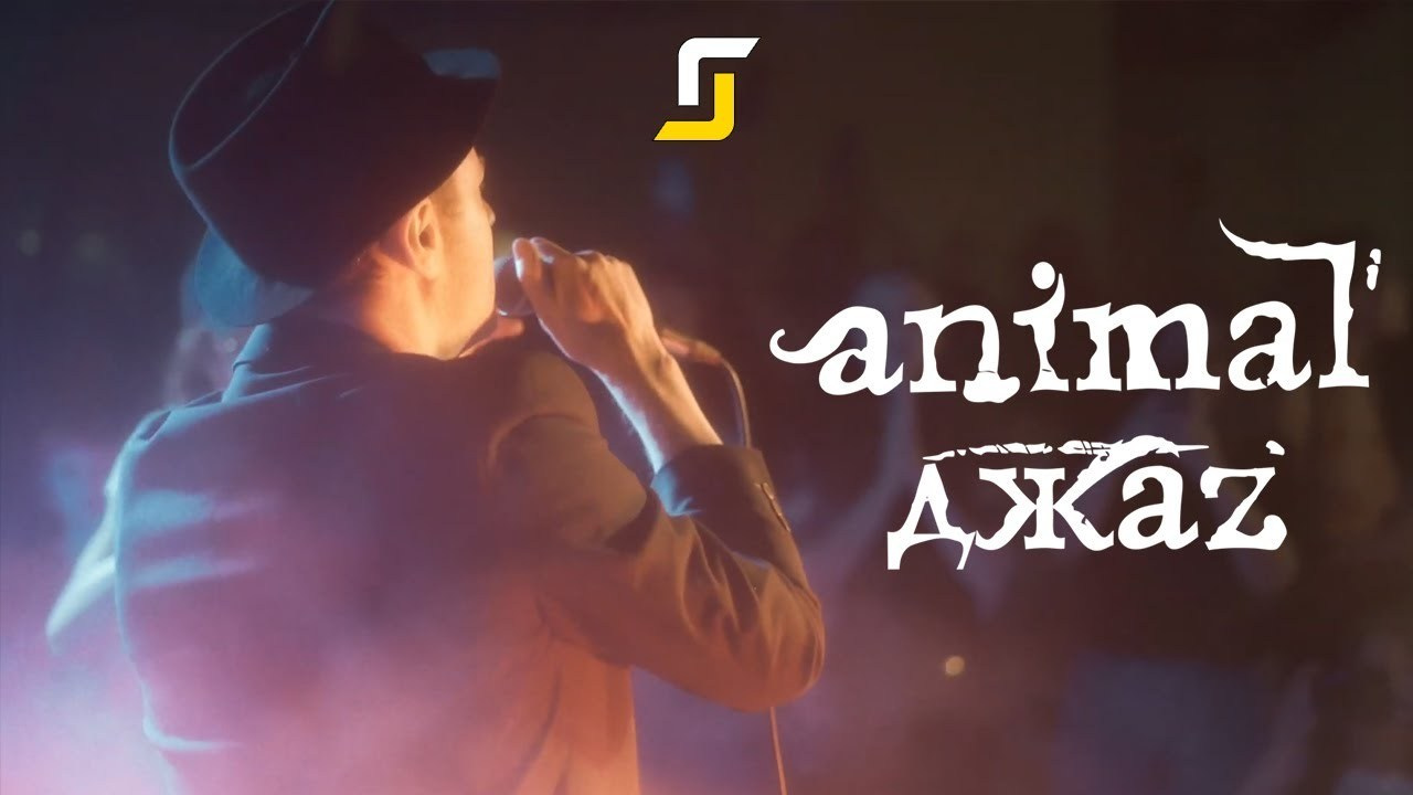 Concerts. SomeGuys video production