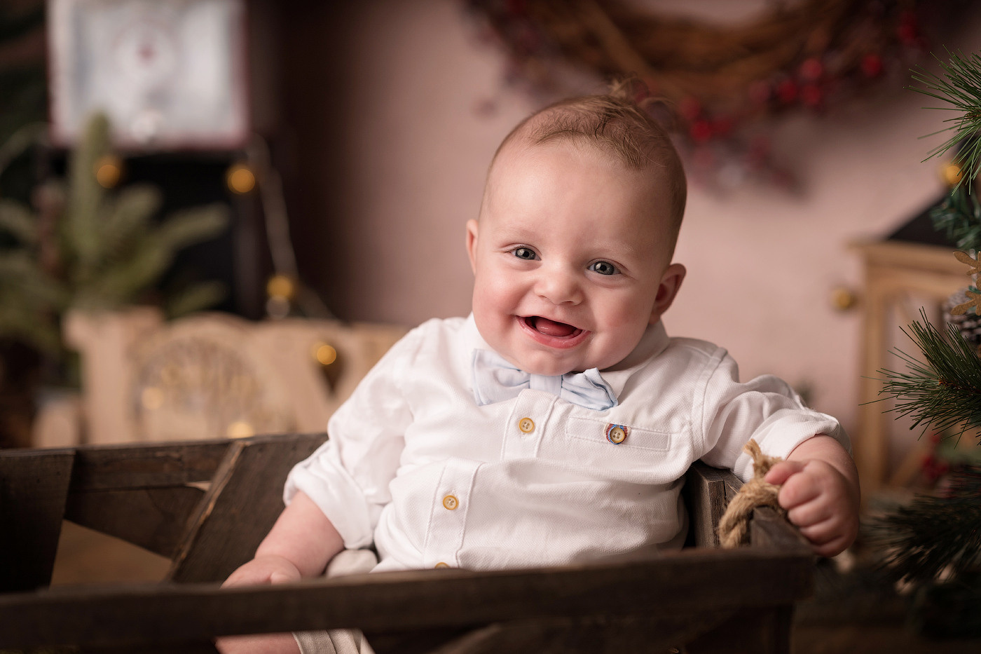 Christmas mini sessions 2021| Sydney. Newborn and family photographer. Hills District. Sydney