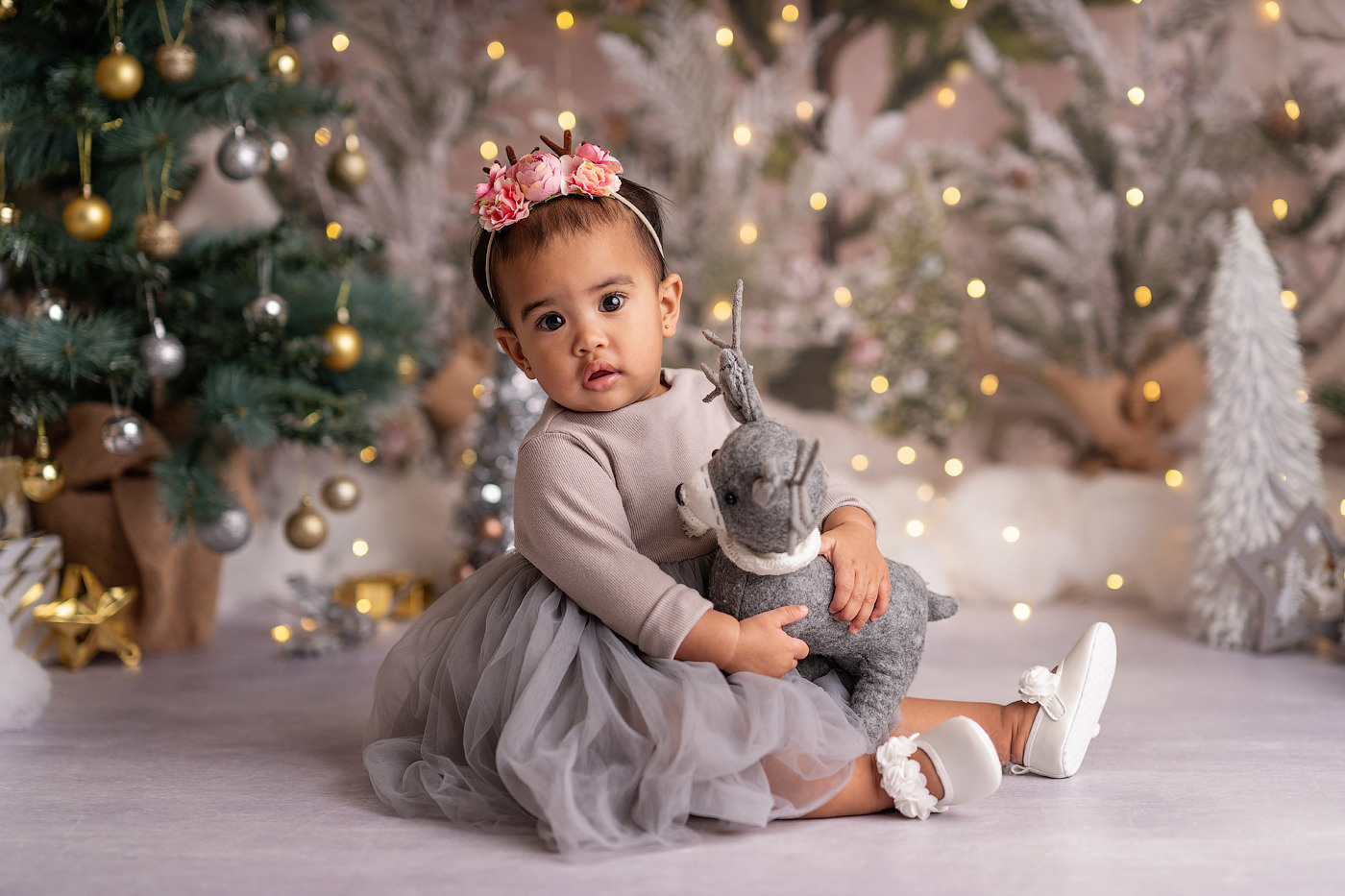 Christmas mini sessions 2021| Sydney. Newborn and family photographer. Hills District. Sydney