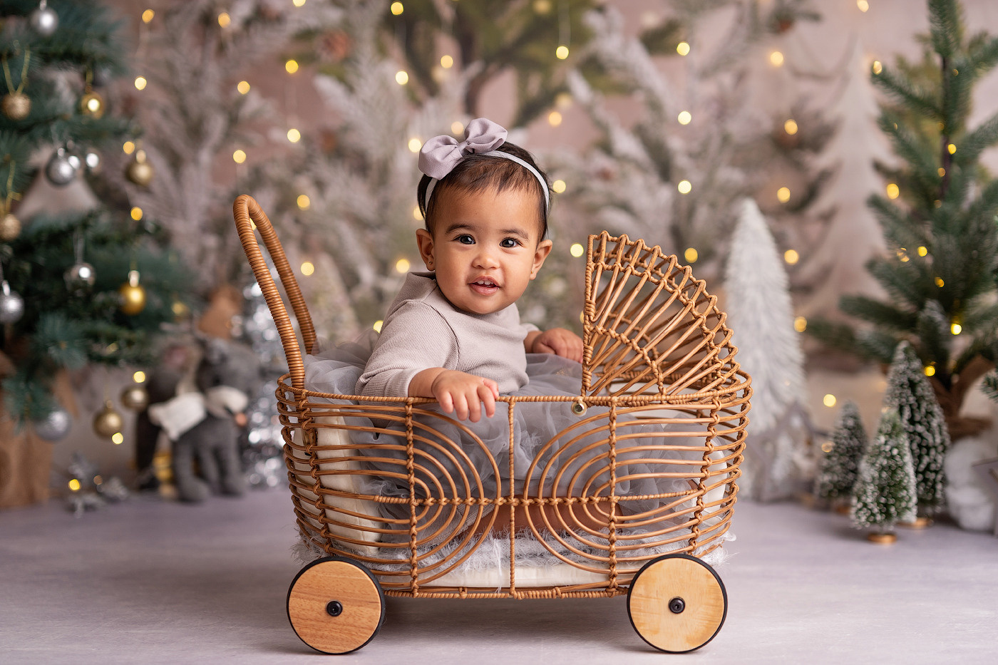 Christmas mini sessions 2021| Sydney. Newborn and family photographer. Hills District. Sydney