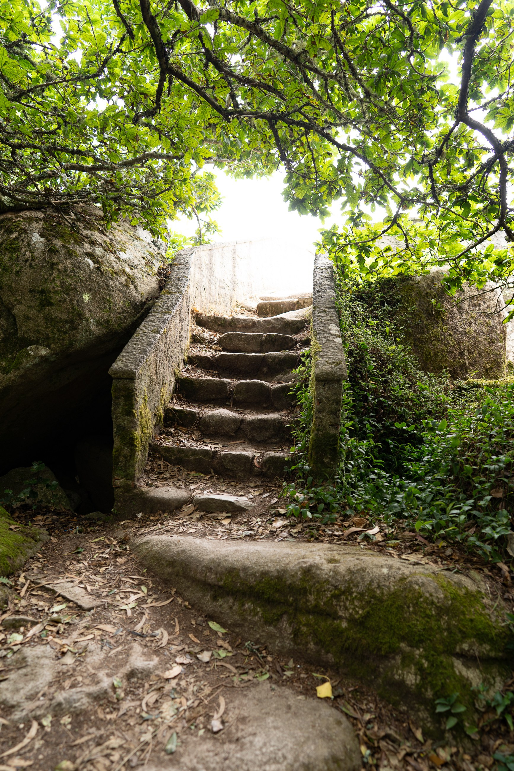 Экскурсия в Кинта да Регалейра и Замок Мавров в Синтре. Экскурсии по Португалии с гидом-фотографом на автомобиле и пешком