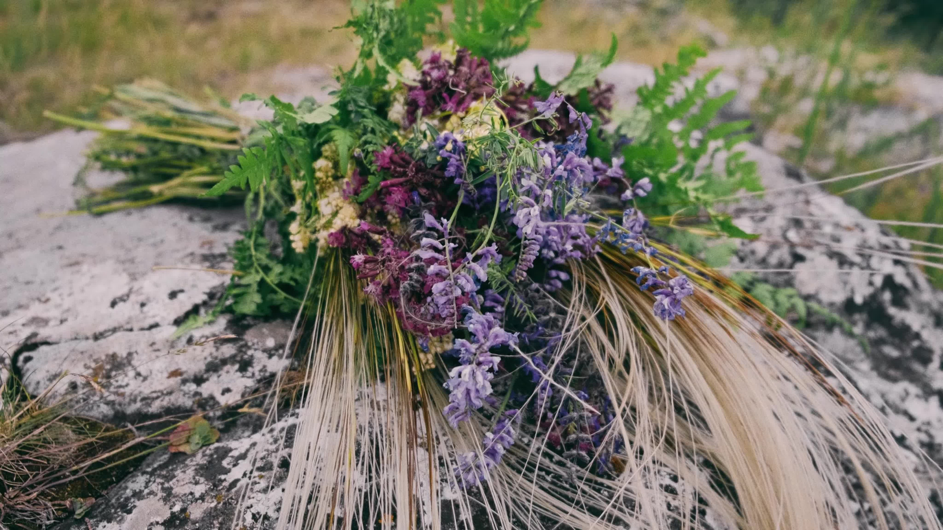 Видео. Dusimovs.ru ВИДЕОСЪЁМКА I ВИДЕОГРАФ | ФОТОГРАФ I ОРЕНБУРГ