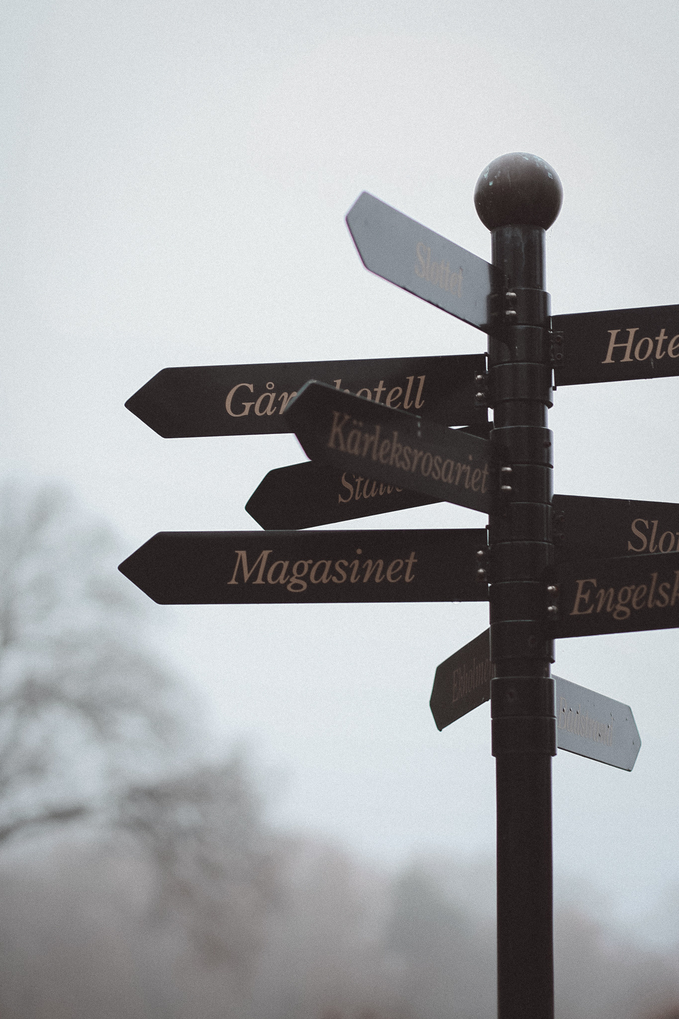 MATTIAS & IVANAS FAMILY. MAIN