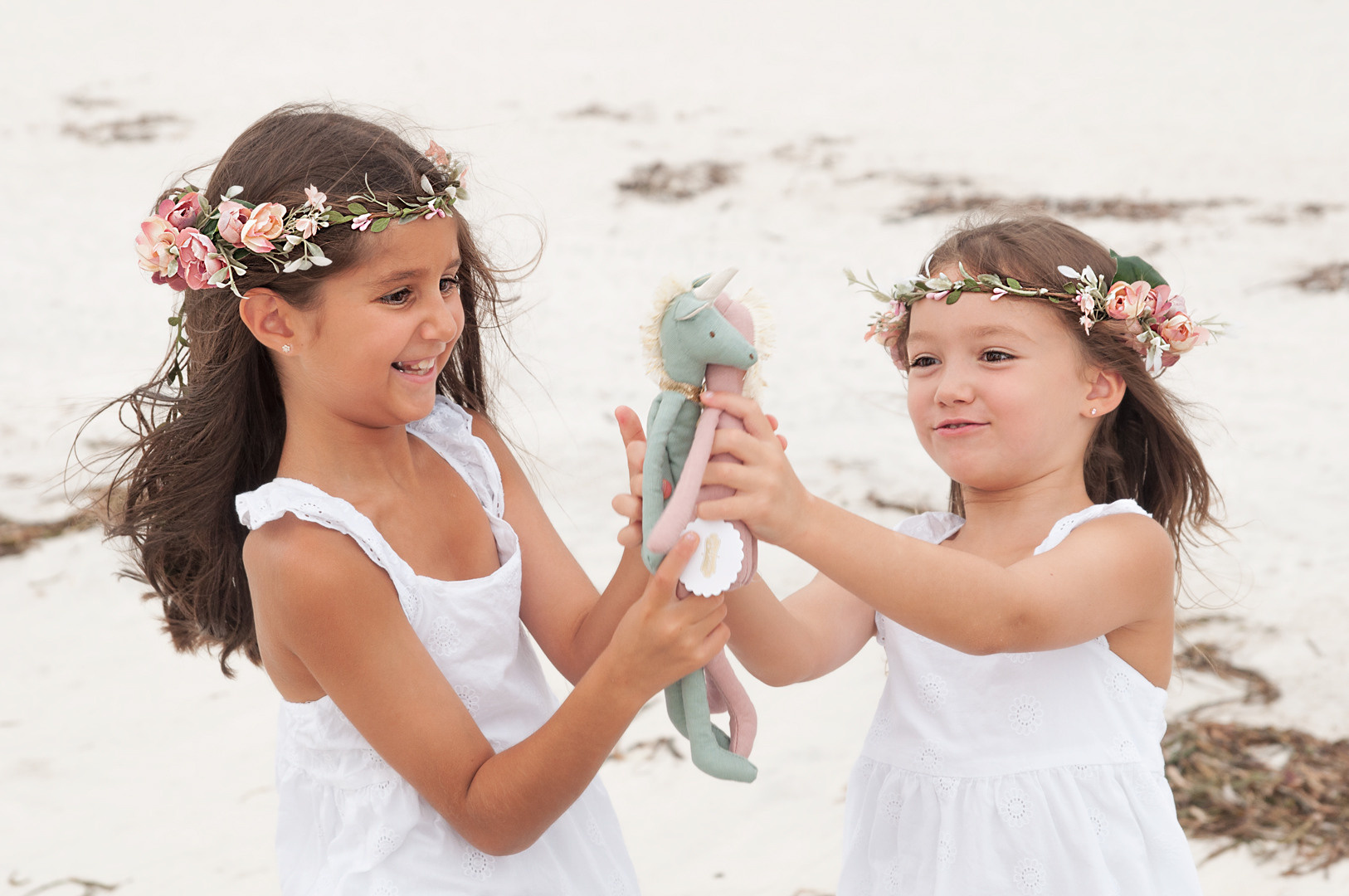 Family photographer Alice Green. Portrait, kids and family photographer in Wesley Chapel Alina Alice Osipova