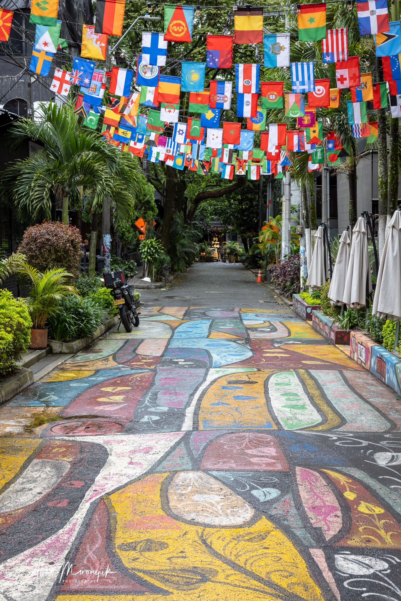Colombia in Style. Pet, Senior, Landscape, portrait studio, photographer in Miami and Sou