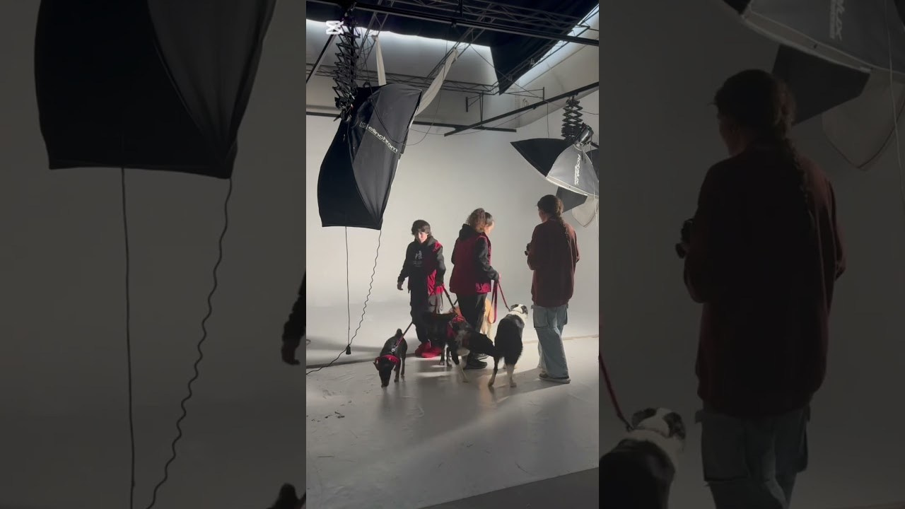 Sesión Corporativa Caliani K9. Fotos con huella, fotografía de perros y mascotas en Sevilla