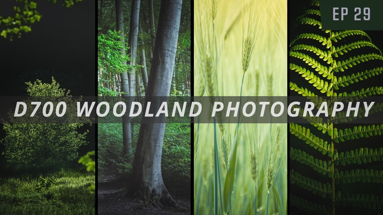 Woodland and Nature Photography YouTube Channel