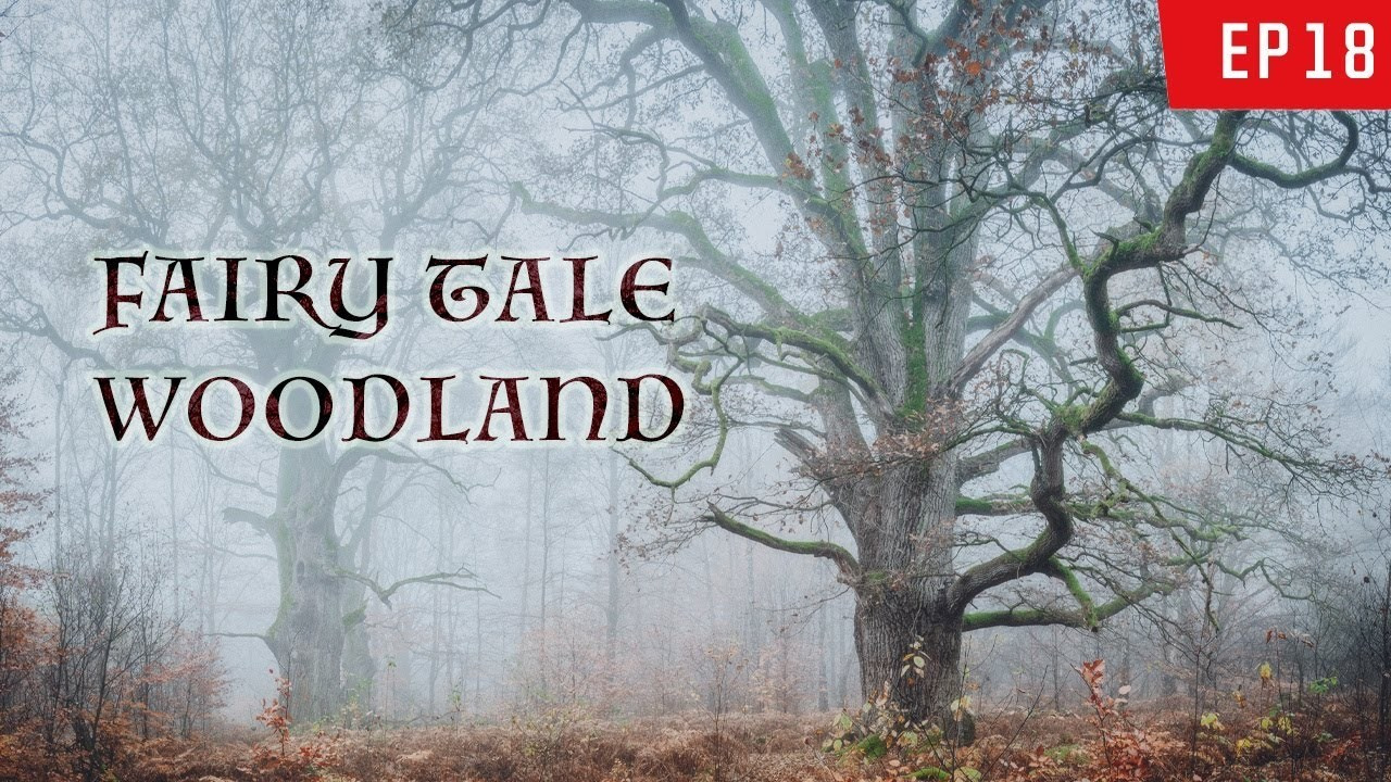 Woodland and Nature Photography YouTube Channel