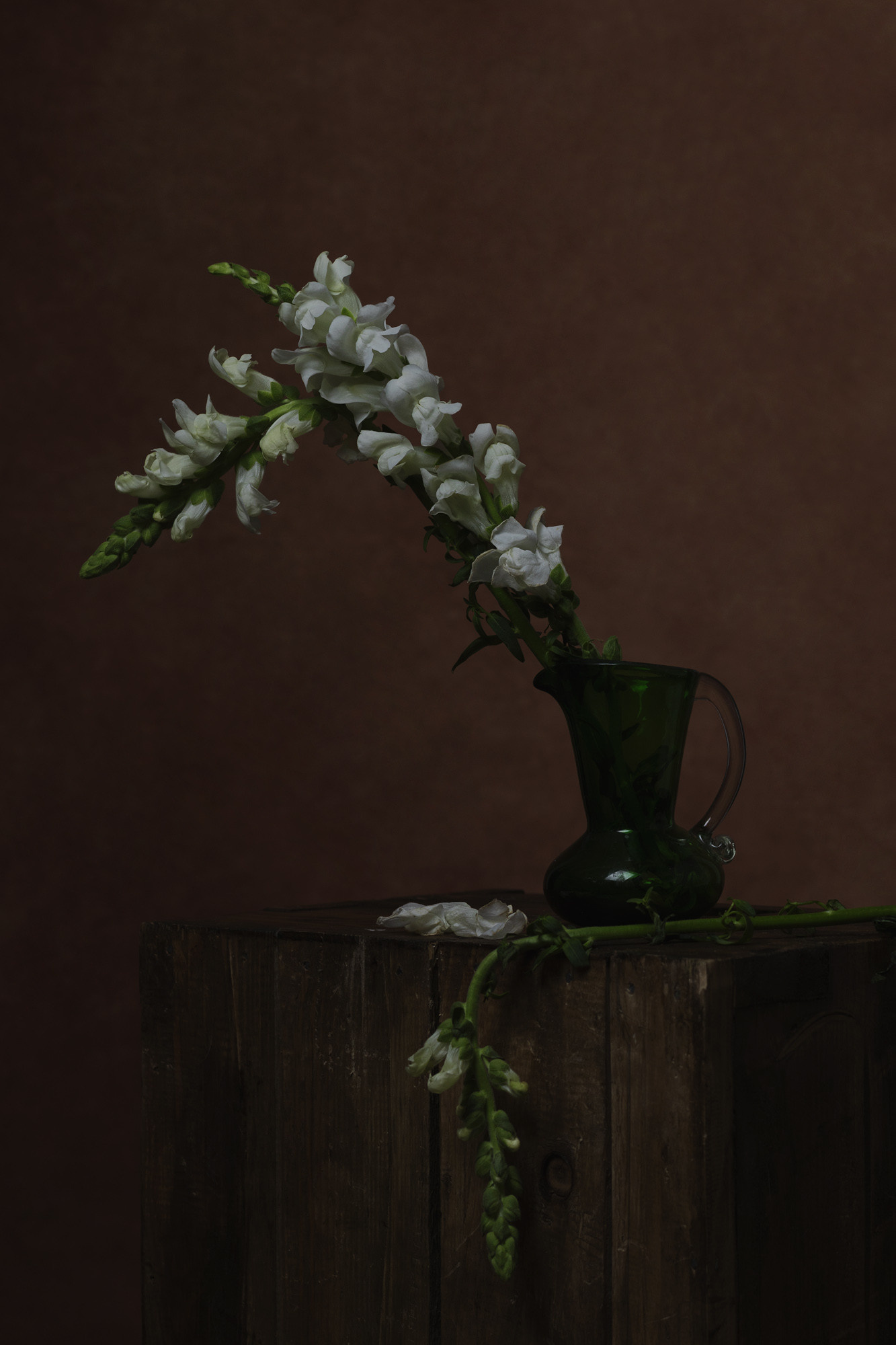 Семейный и детский фотограф в Лондоне (Кент) Наталья Биндере