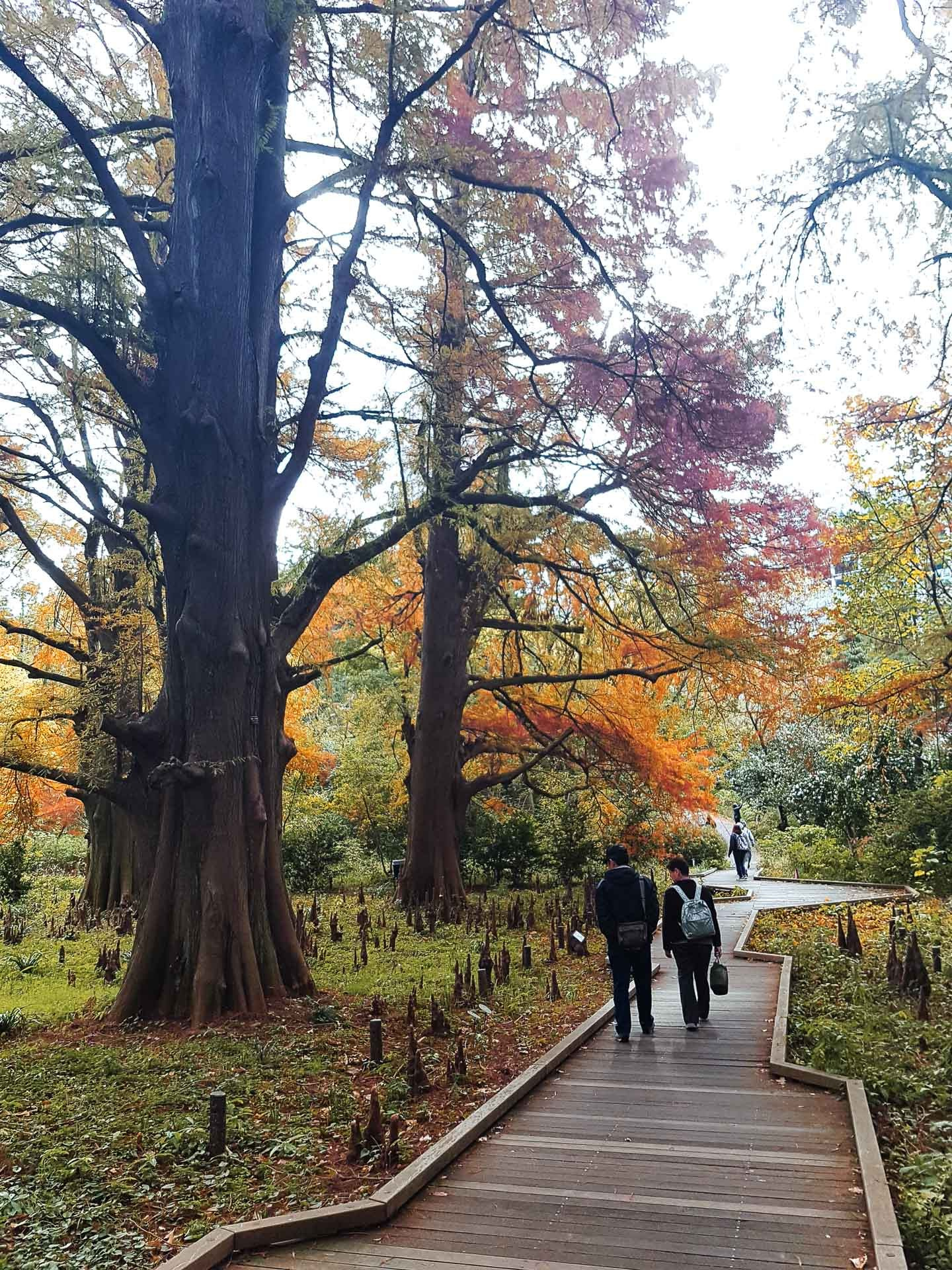 Tokyo Travel Photography Guide: Best Districts, Attractions & Tips