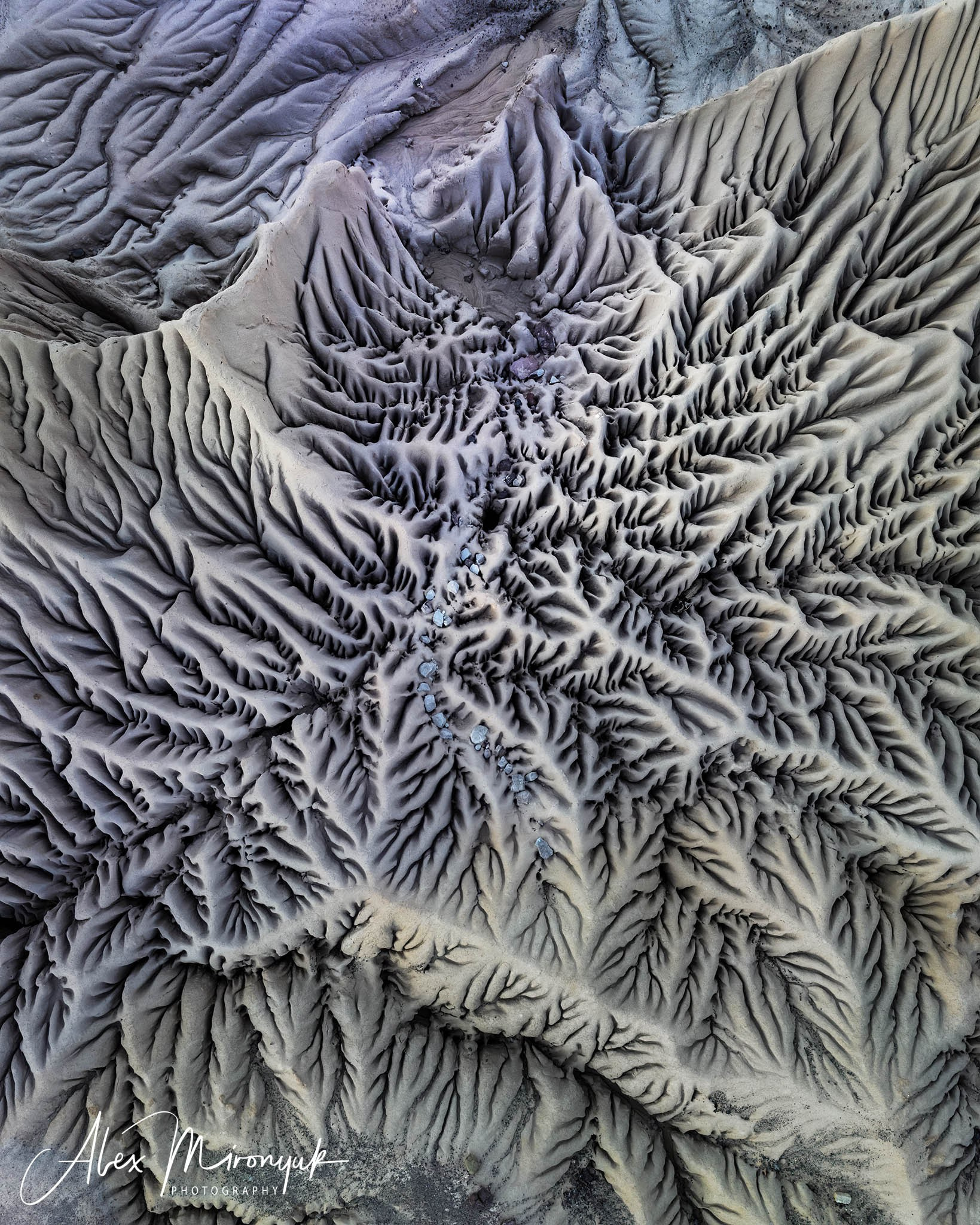 Bolivia Adventure — 2025. Pet, Senior, Landscape, portrait studio, photographer in Miami and Sou