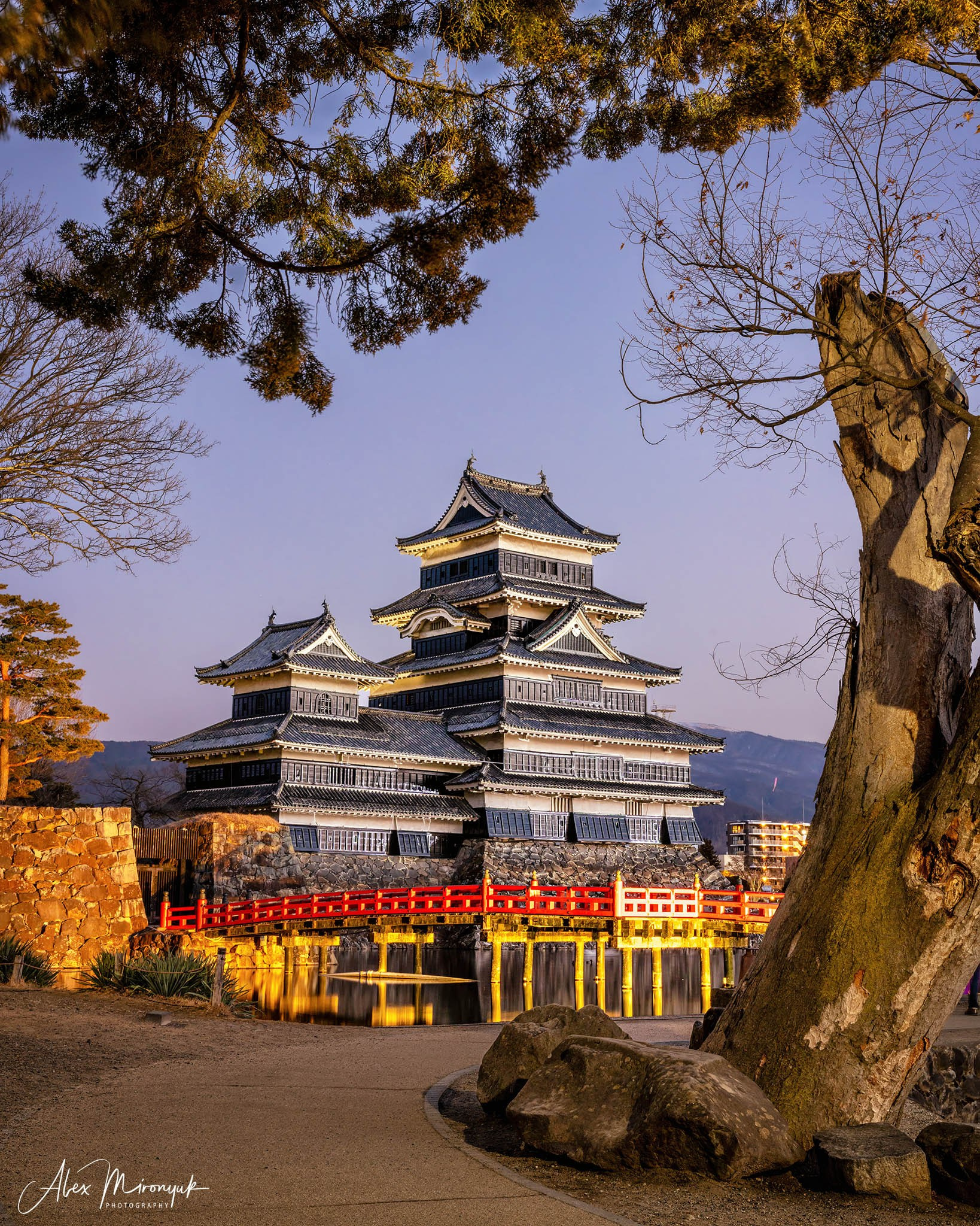 Winter Japan: Snow Monkeys, Castles & Timeless Villages. Pet, Senior, Landscape, portrait studio, photographer in Miami and Sou