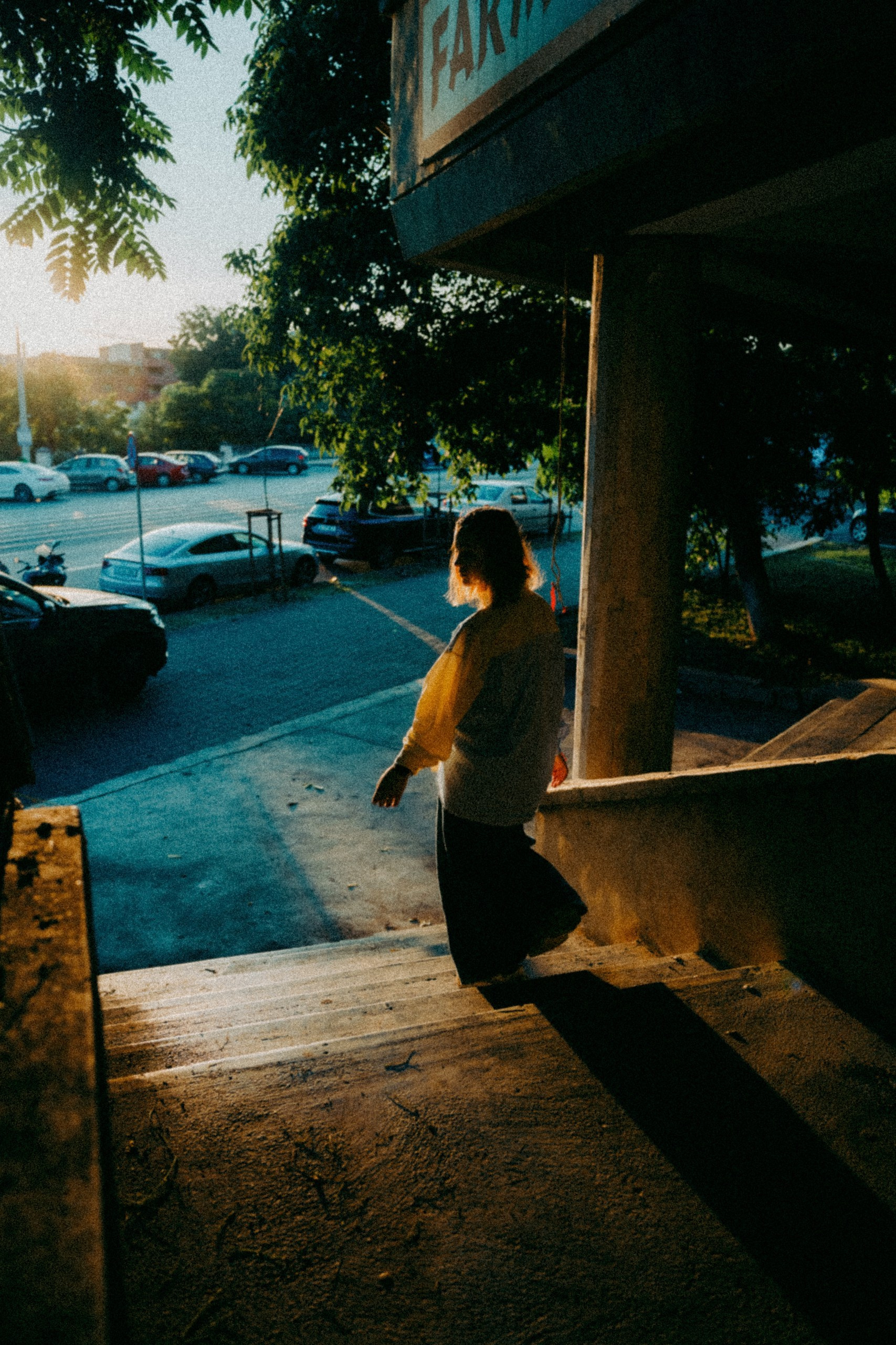 Mirela. Alexandru Raileanu