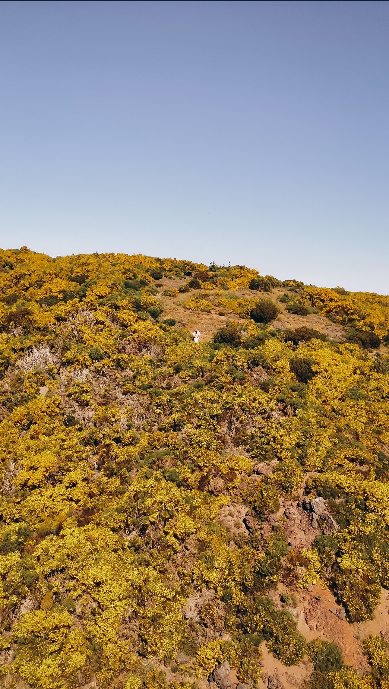 Proposal at Pico do Arieiro, Madeira — romantic engagement with breathtaking mountain views, capturing intimate moments in nature