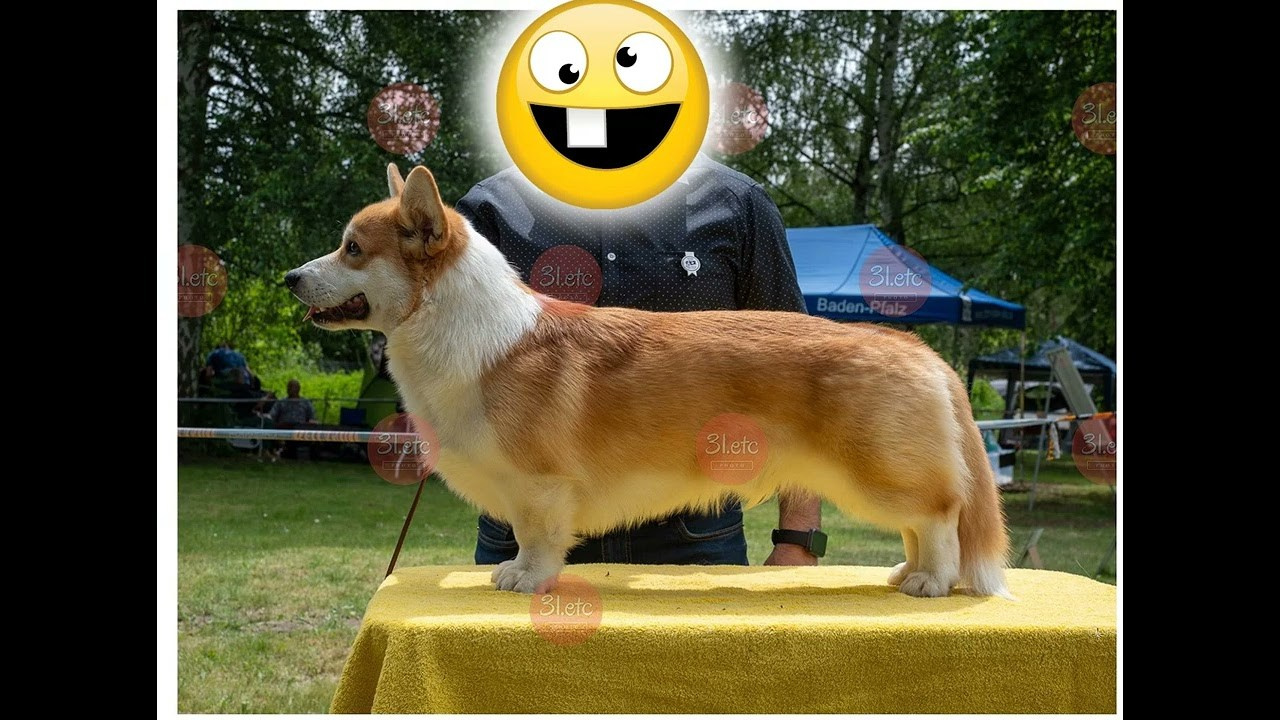 Украсть фото разве сложно.... Photographe à Strasbourg | Portraits, Studio, Enfants, Événements