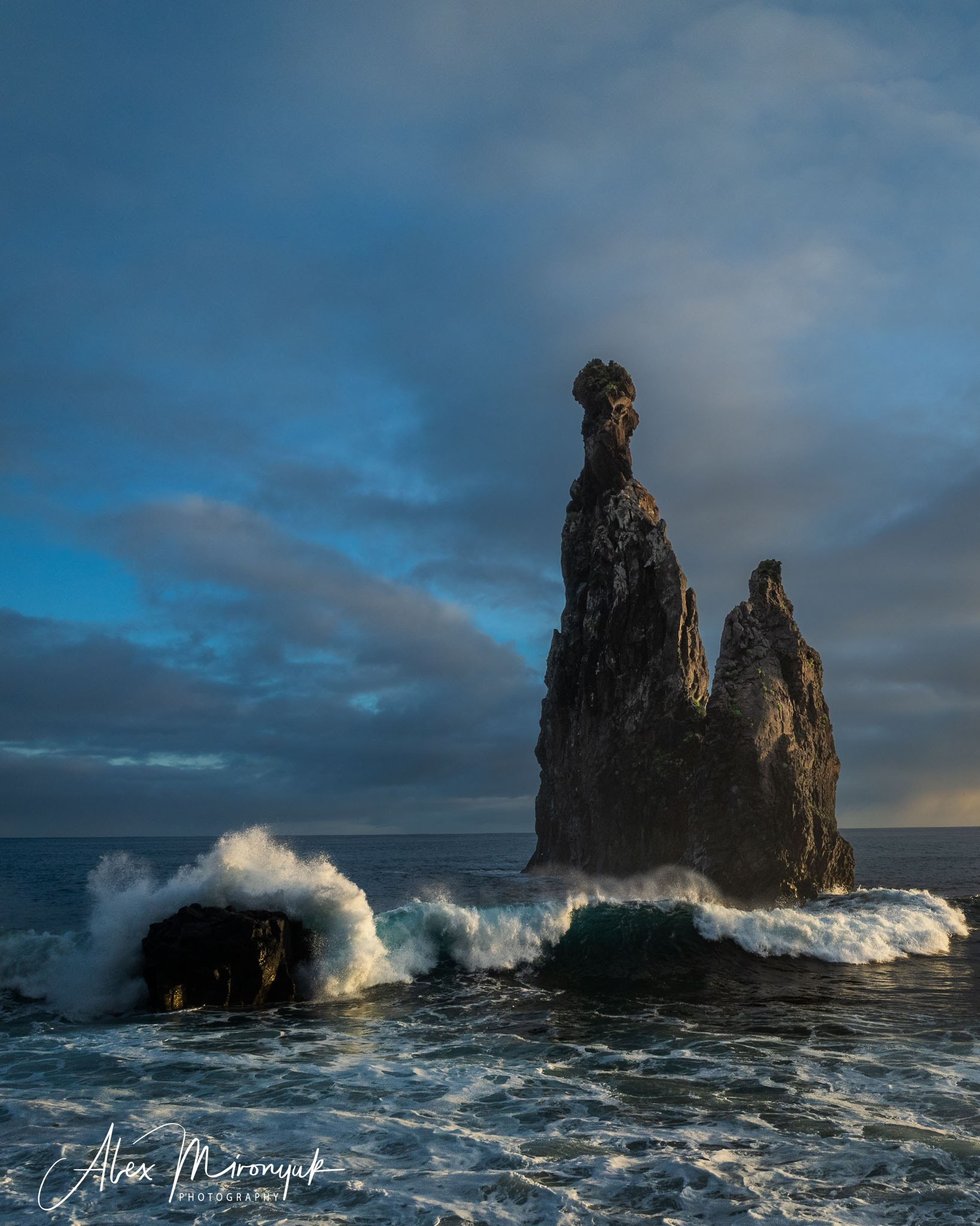 Madeira And Azores. Pet, Senior, Landscape, portrait studio, photographer in Miami and Sou