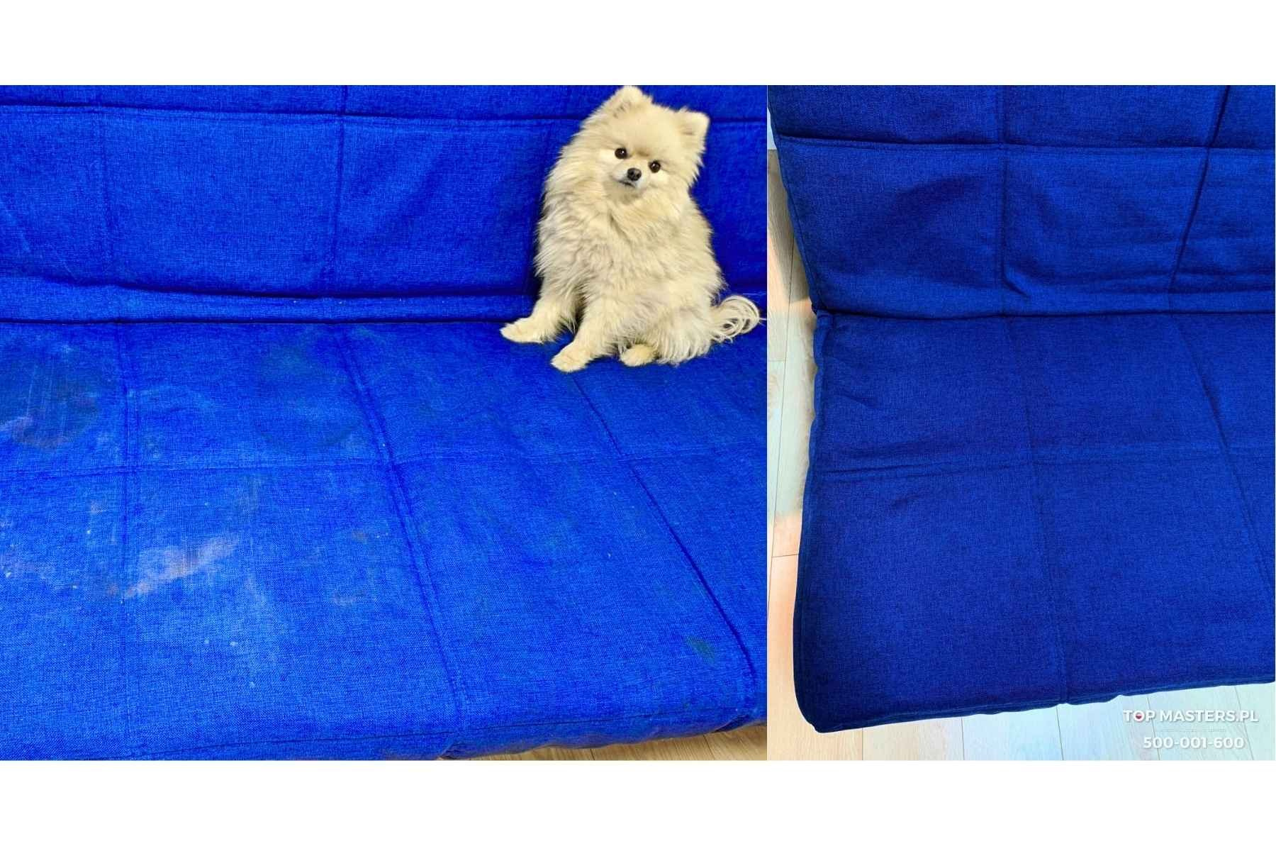 CENNIK I PROMOCJE %. TopMasters.pl — Sprzątanie mieszkań, Pranie tapicerki Gdańsk, TRÓJMIASTO| Zadzwoń i Zamów! Szybko, łatwo i wygodnie