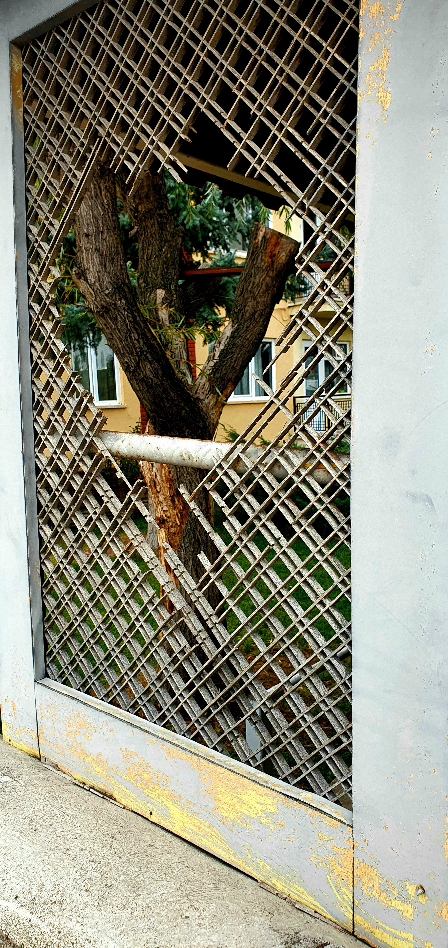 Street фото. Consultation on printing in various magazines, illustrations for books