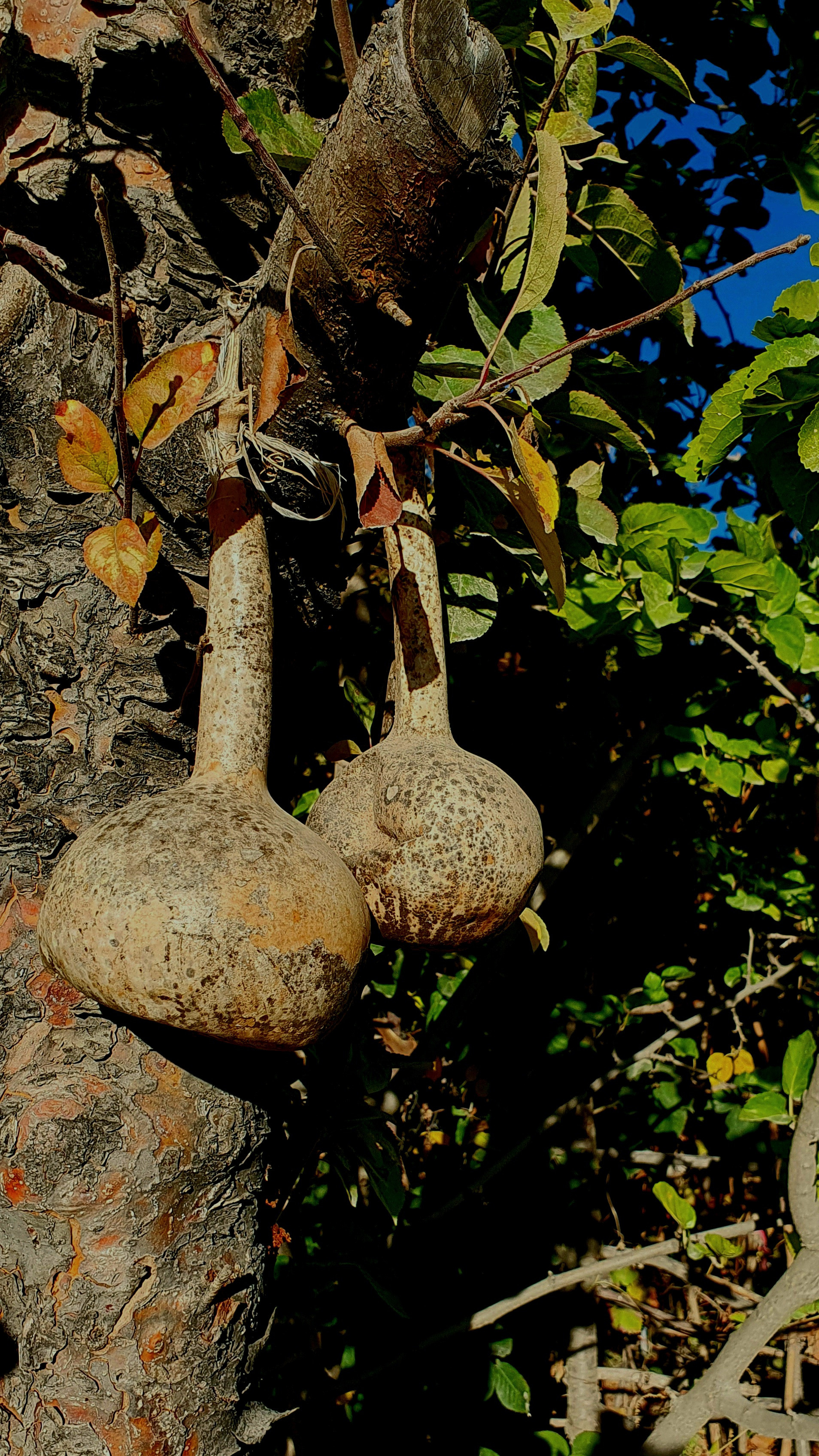 Street фото. Consultation on printing in various magazines, illustrations for books